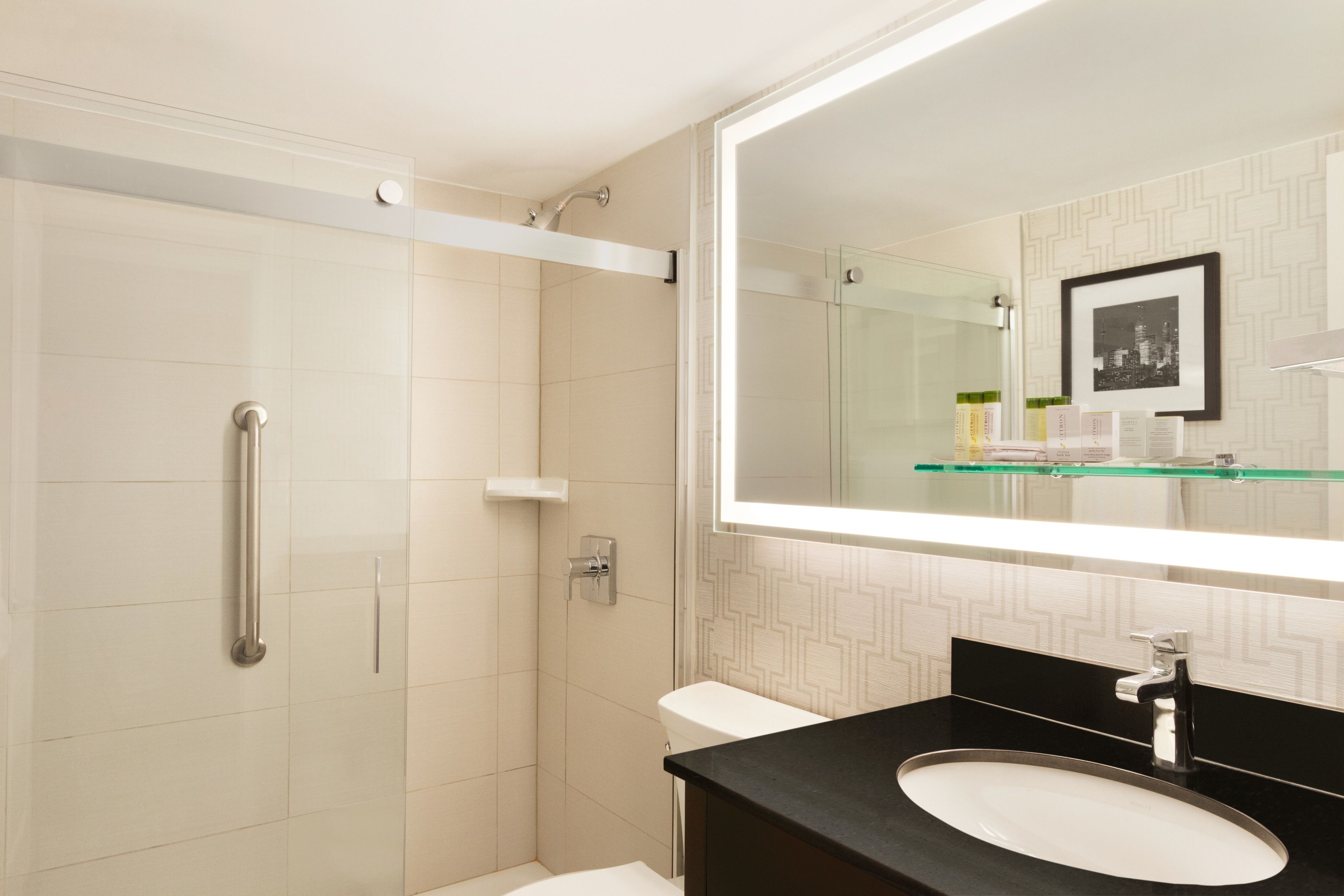 A modern bathroom with a glass shower enclosure, a white toilet, and a black sink with a large mirror above it.