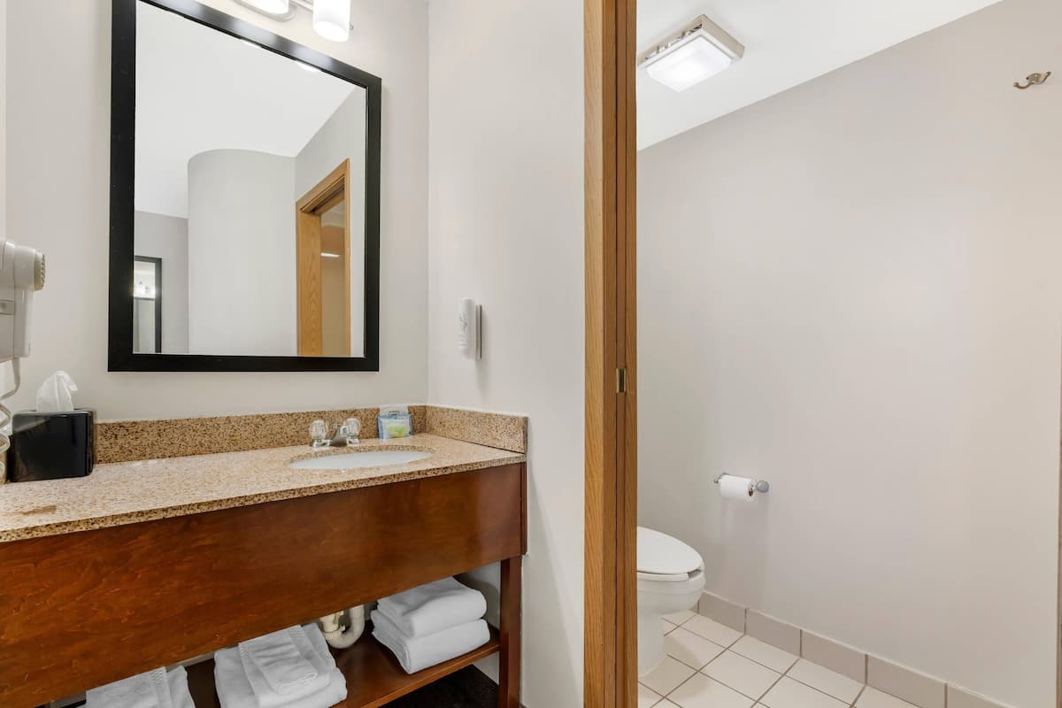 Une salle de bain avec un meuble-lavabo en bois, un évier, un miroir et des toilettes.