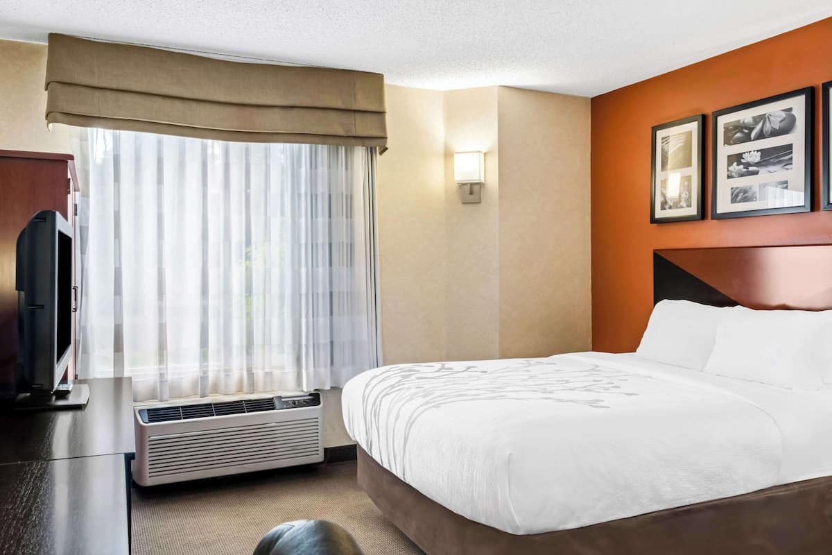In-room safe, desk, iron/ironing board, free cots/infant beds