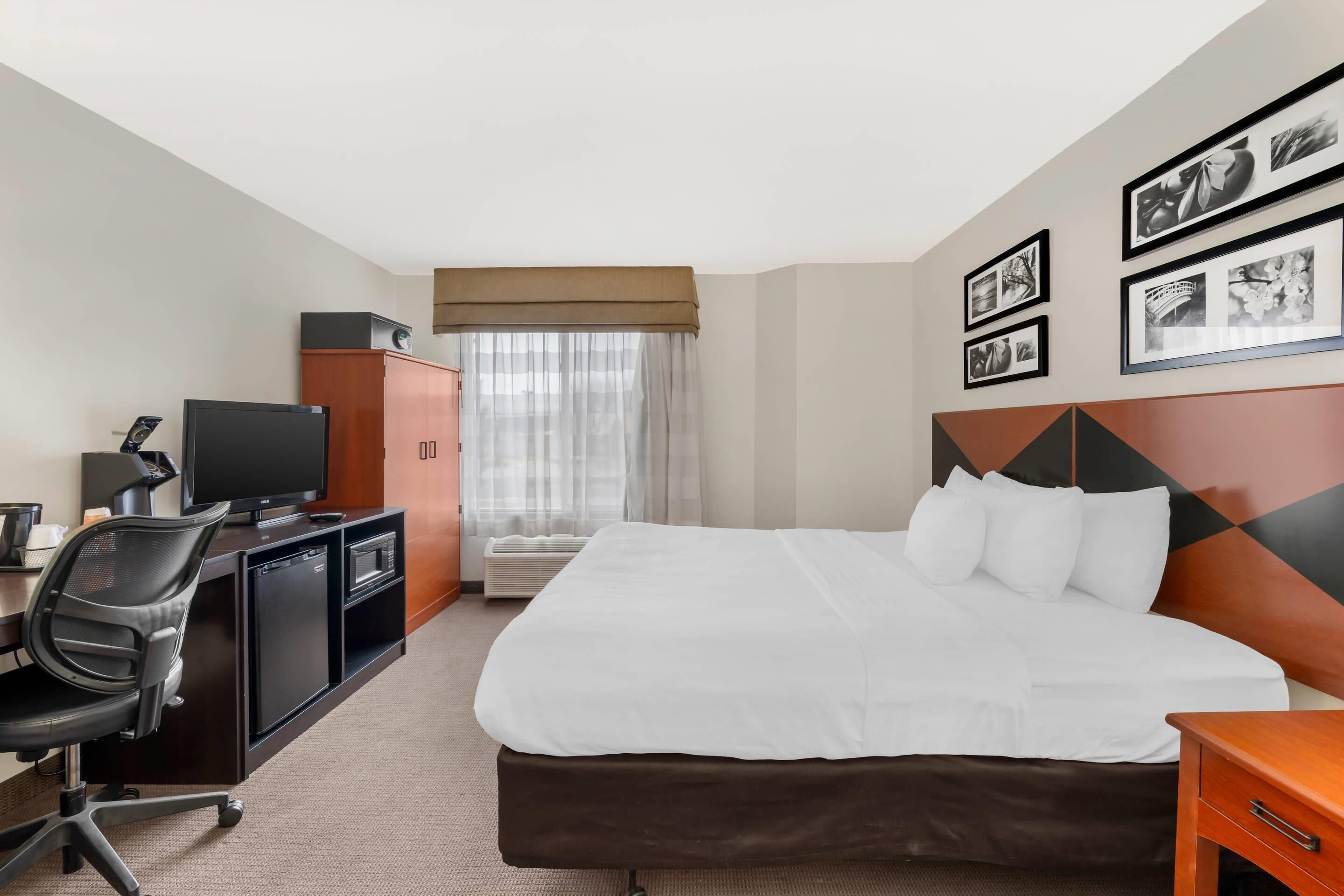 Room, 1 King Bed, Non Smoking