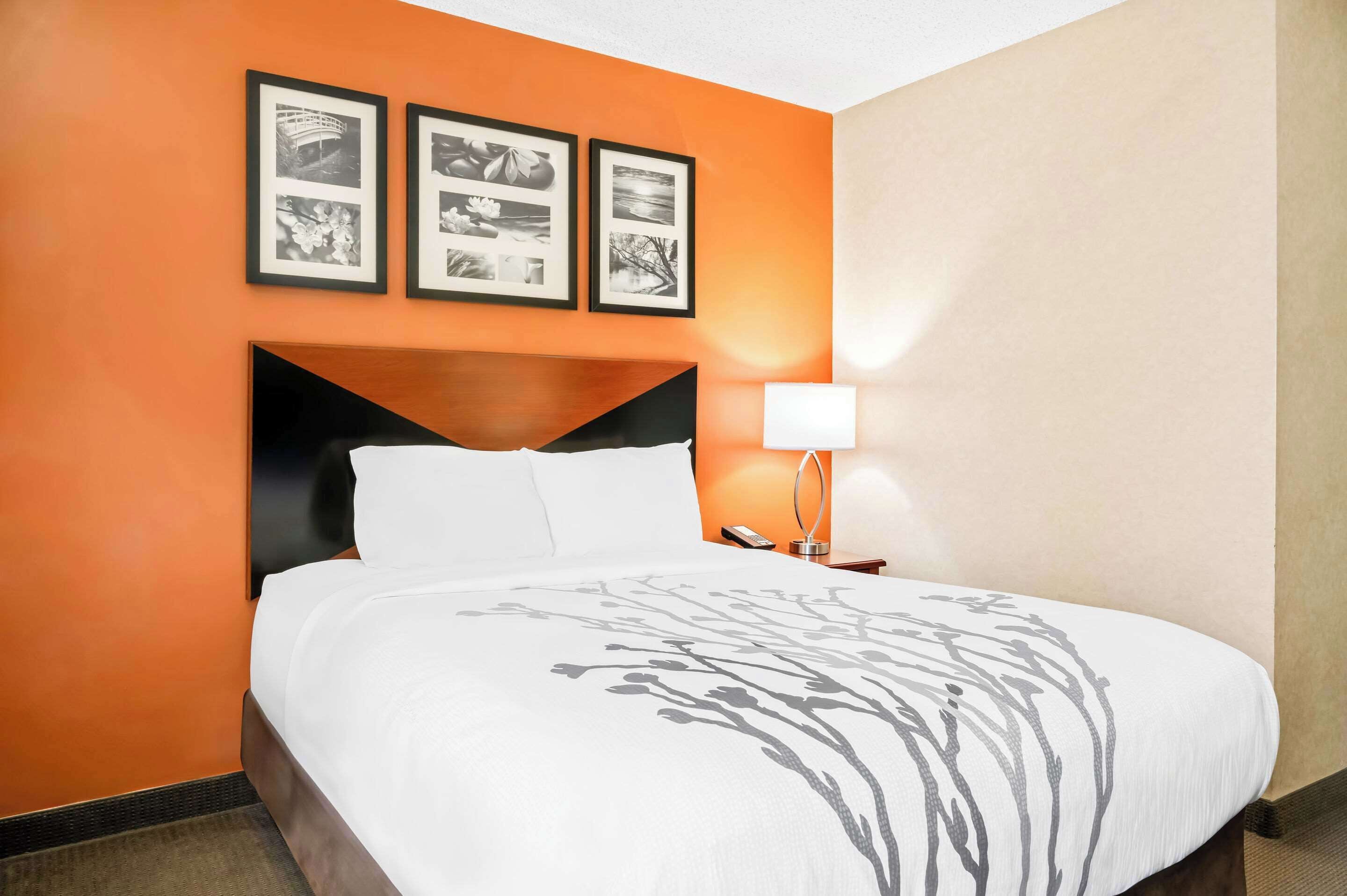 standard room, 1 queen bed, non smoking | in-room safe, desk, iron/ironing board, free cots/infant beds