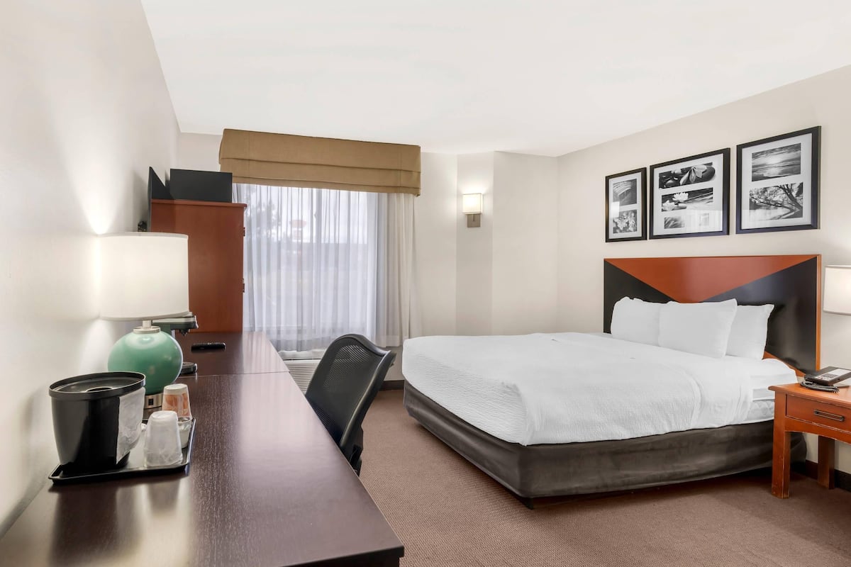 Une chambre d’hôtel équipée d’un lit, d’un bureau, d’une chaise, d’une lampe et d’une fenêtre avec des rideaux.