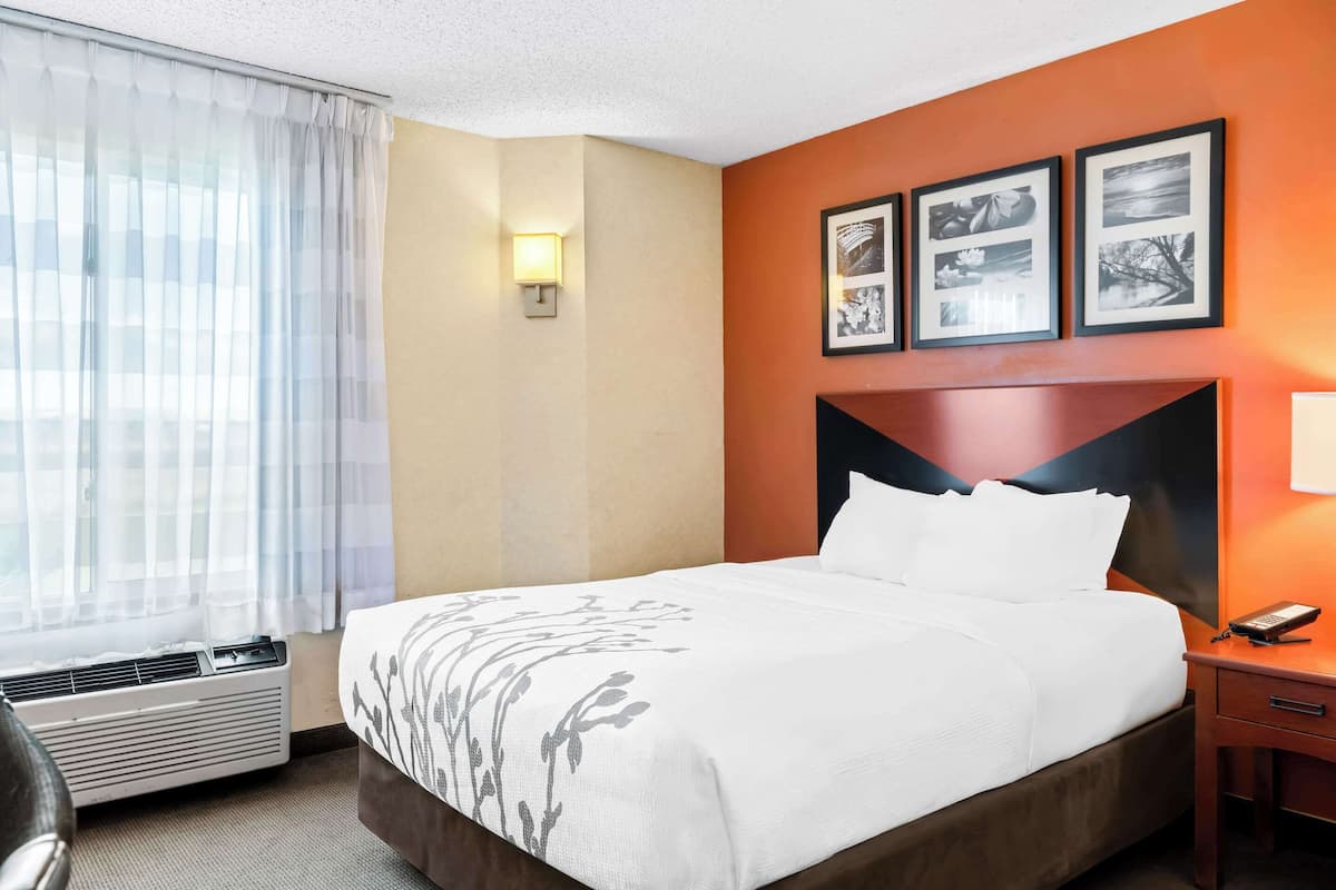 In-room safe, desk, iron/ironing board, free cots/infant beds