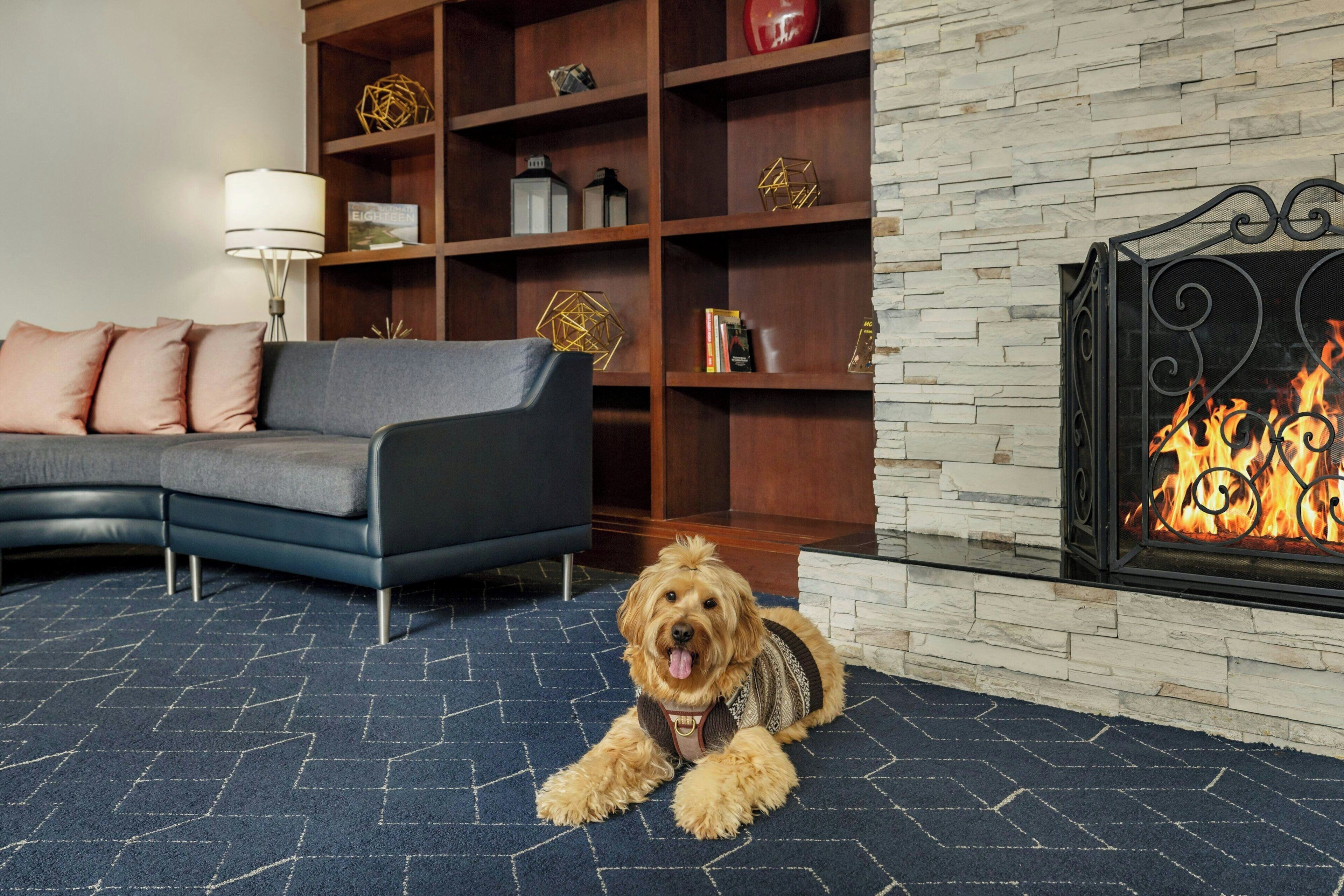 Foto - Courtyard by Marriott Montvale