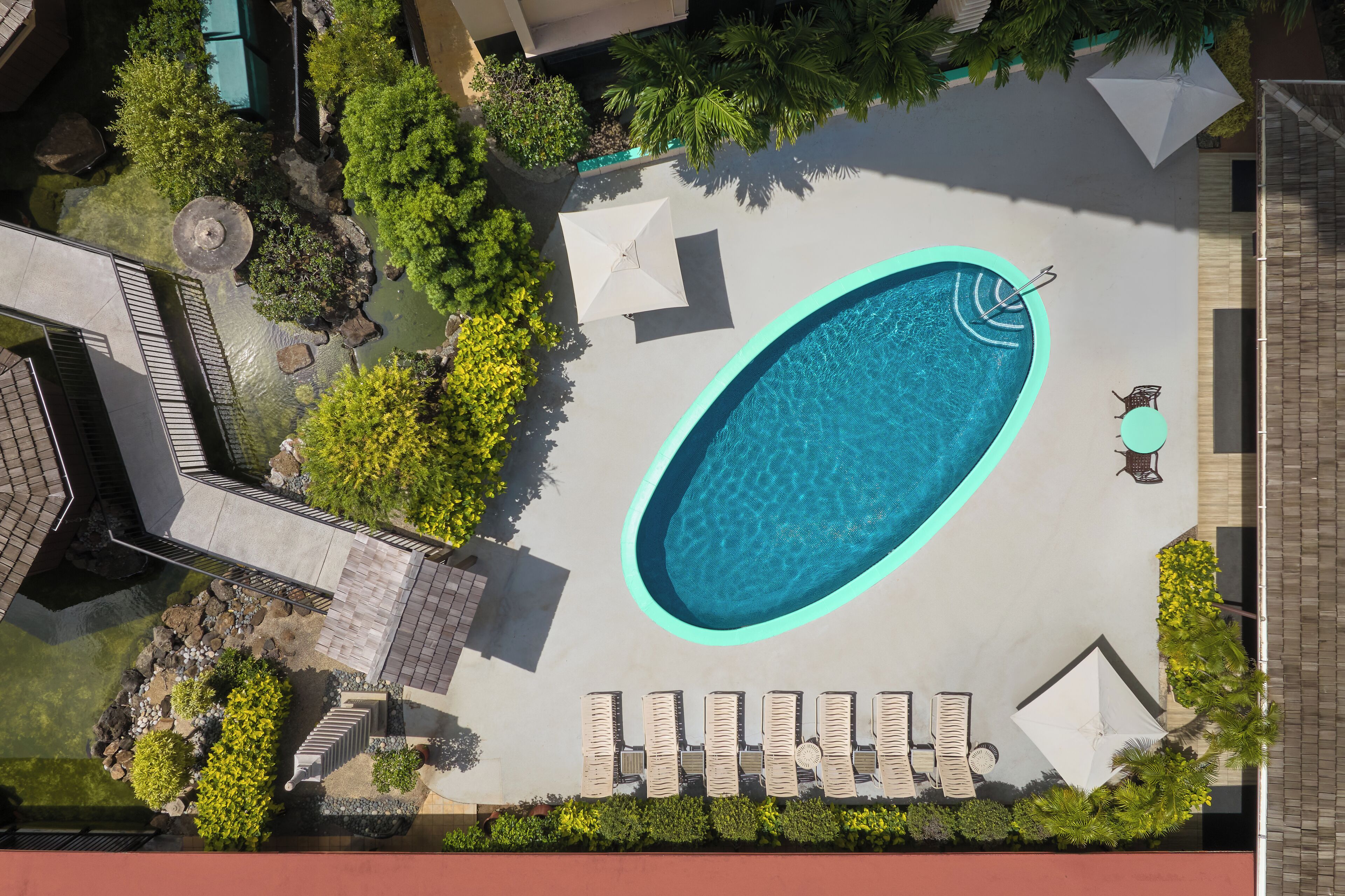 Una piscina al aire libre, sombrillas, sillones reclinables de piscina