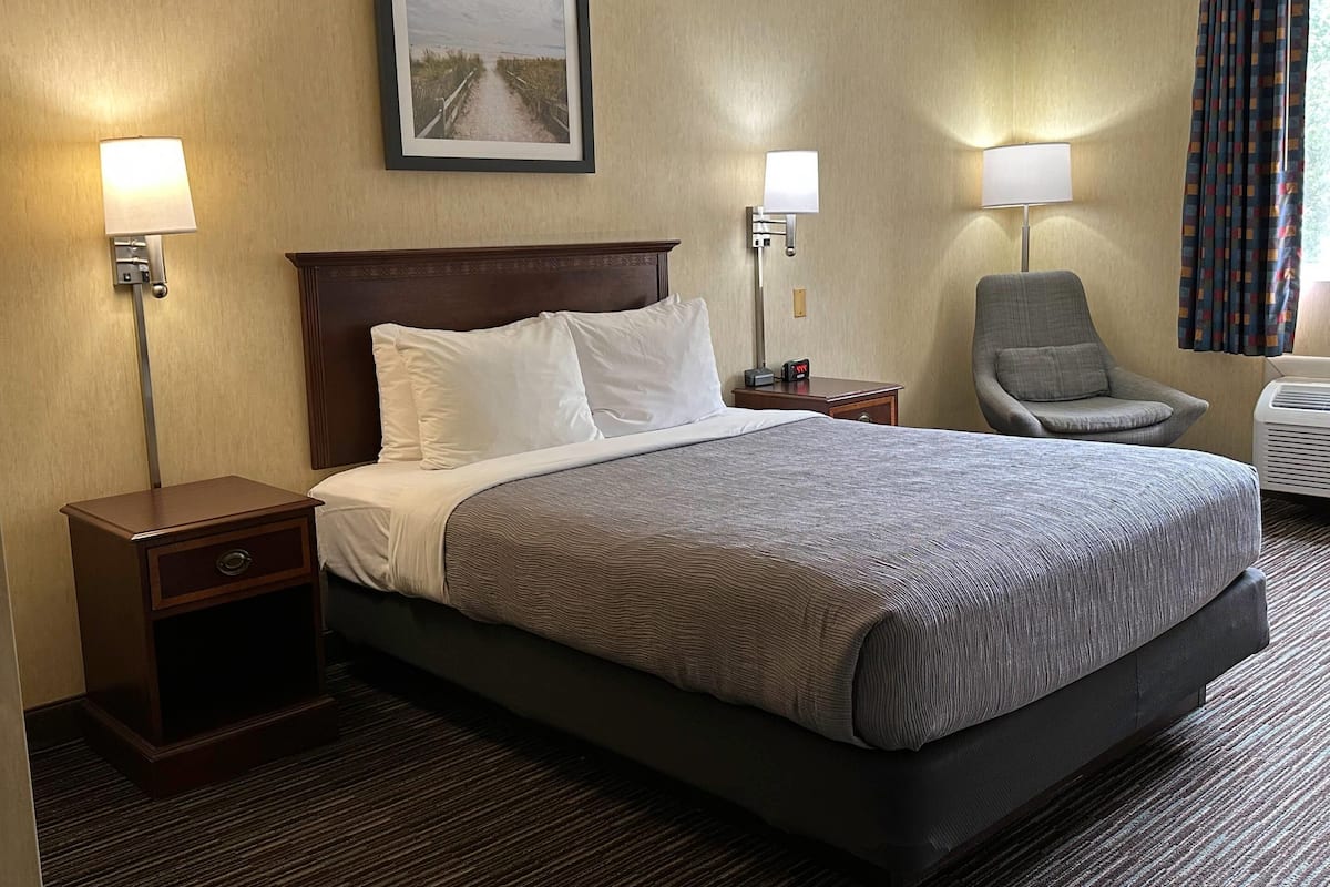 Standard Room, 1 Queen Bed, Non Smoking | Premium bedding, desk, blackout curtains, iron/ironing board