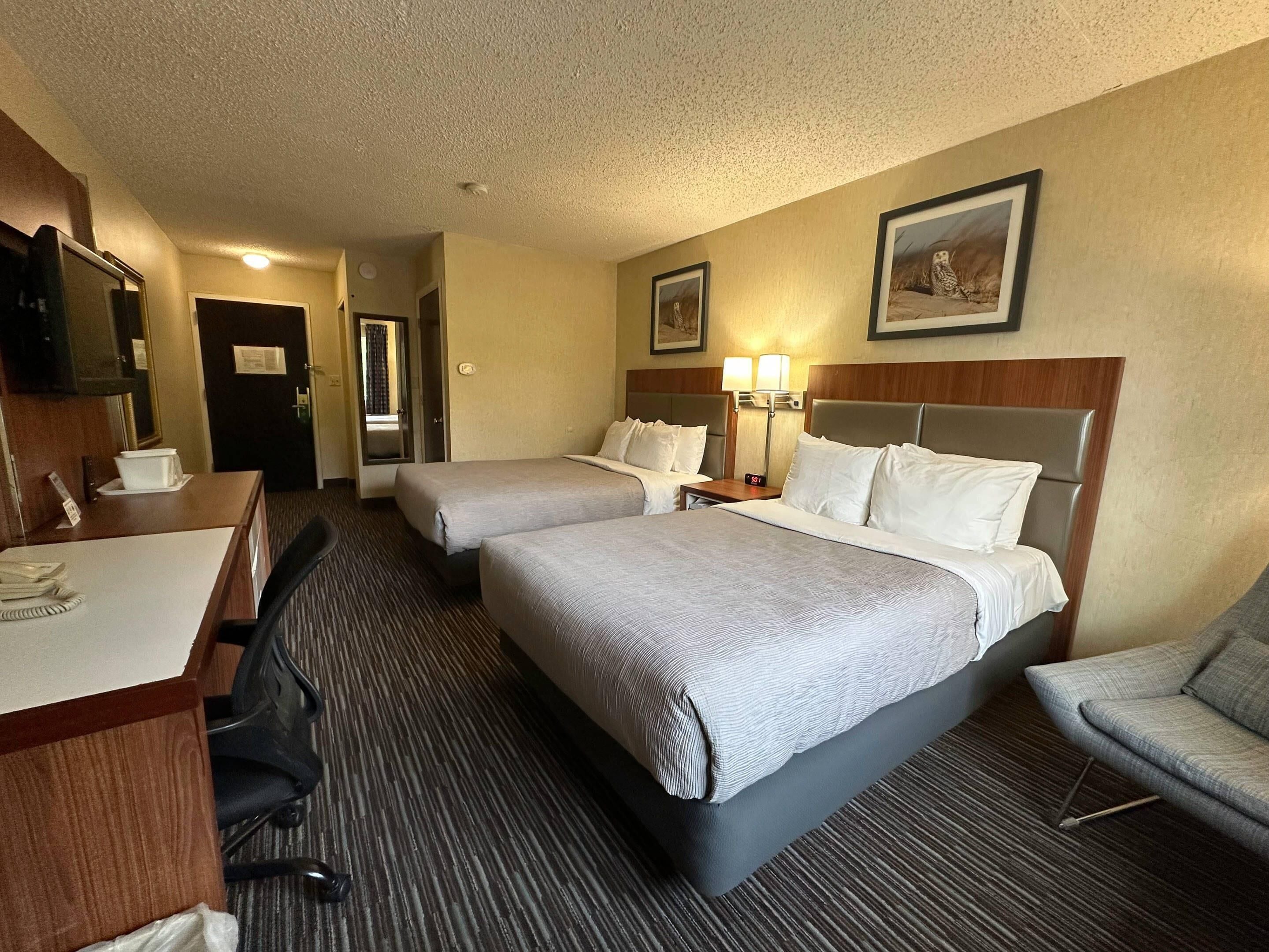 standard room, 2 queen beds, non smoking | premium bedding, desk, blackout curtains, iron/ironing board