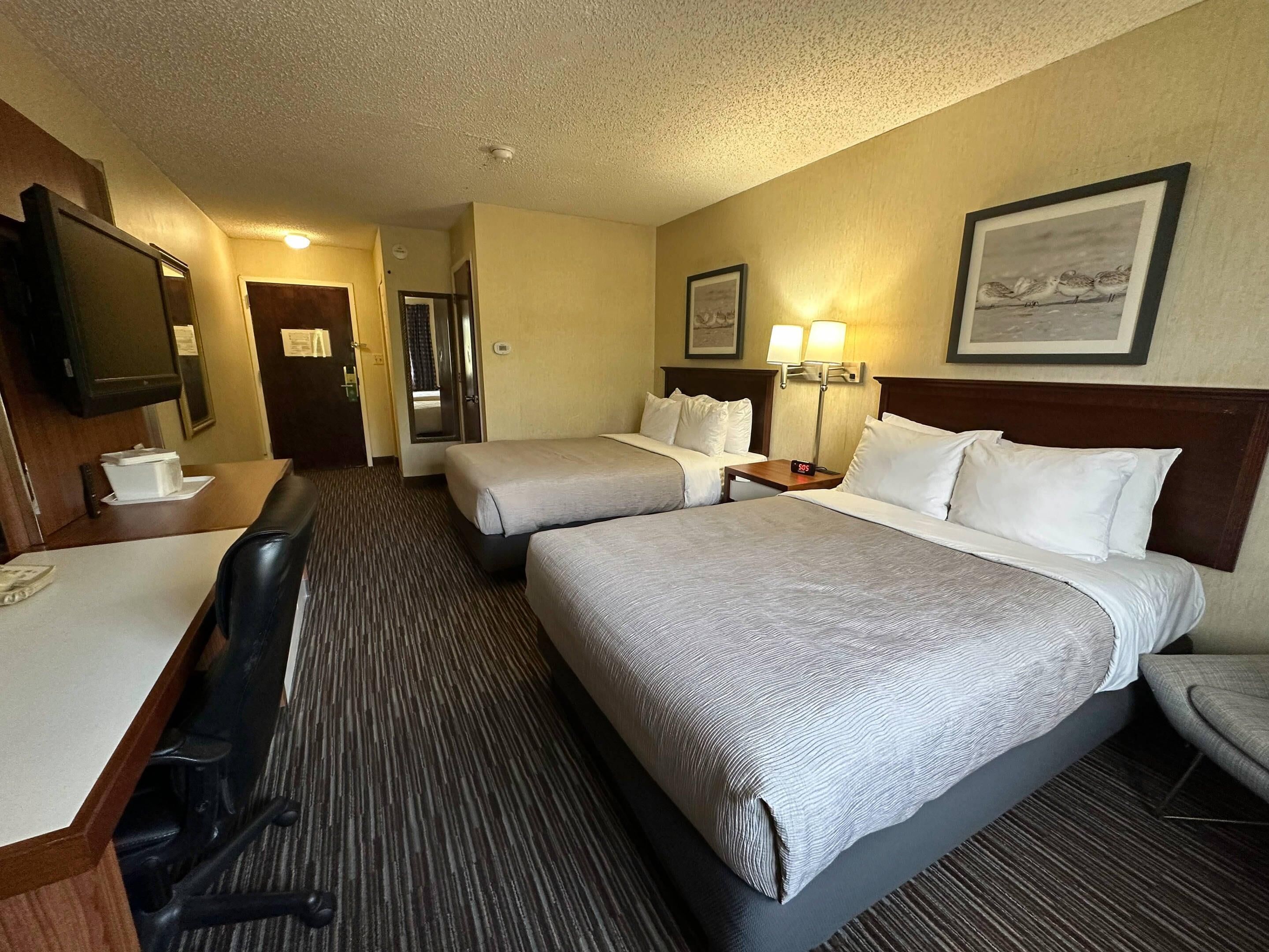 standard room, 2 double beds, non smoking | premium bedding, desk, blackout curtains, iron/ironing board