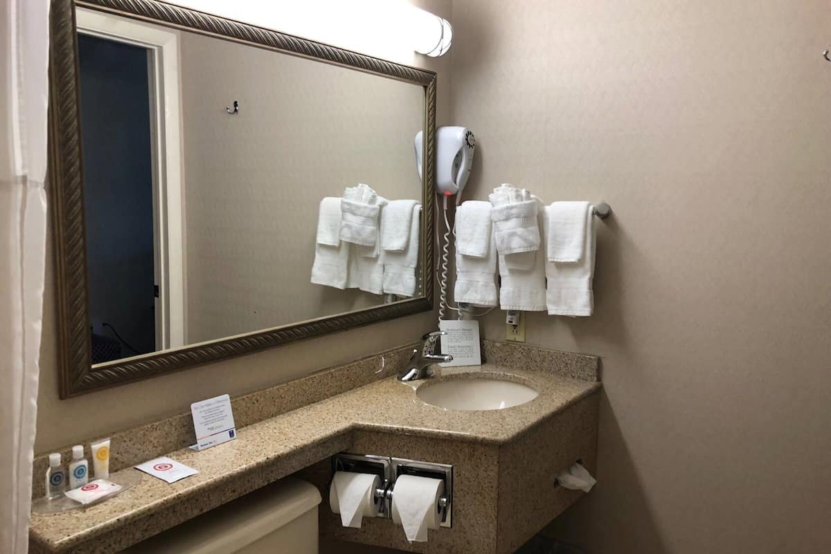 Bathroom | Combined shower/tub, free toiletries, hair dryer, towels