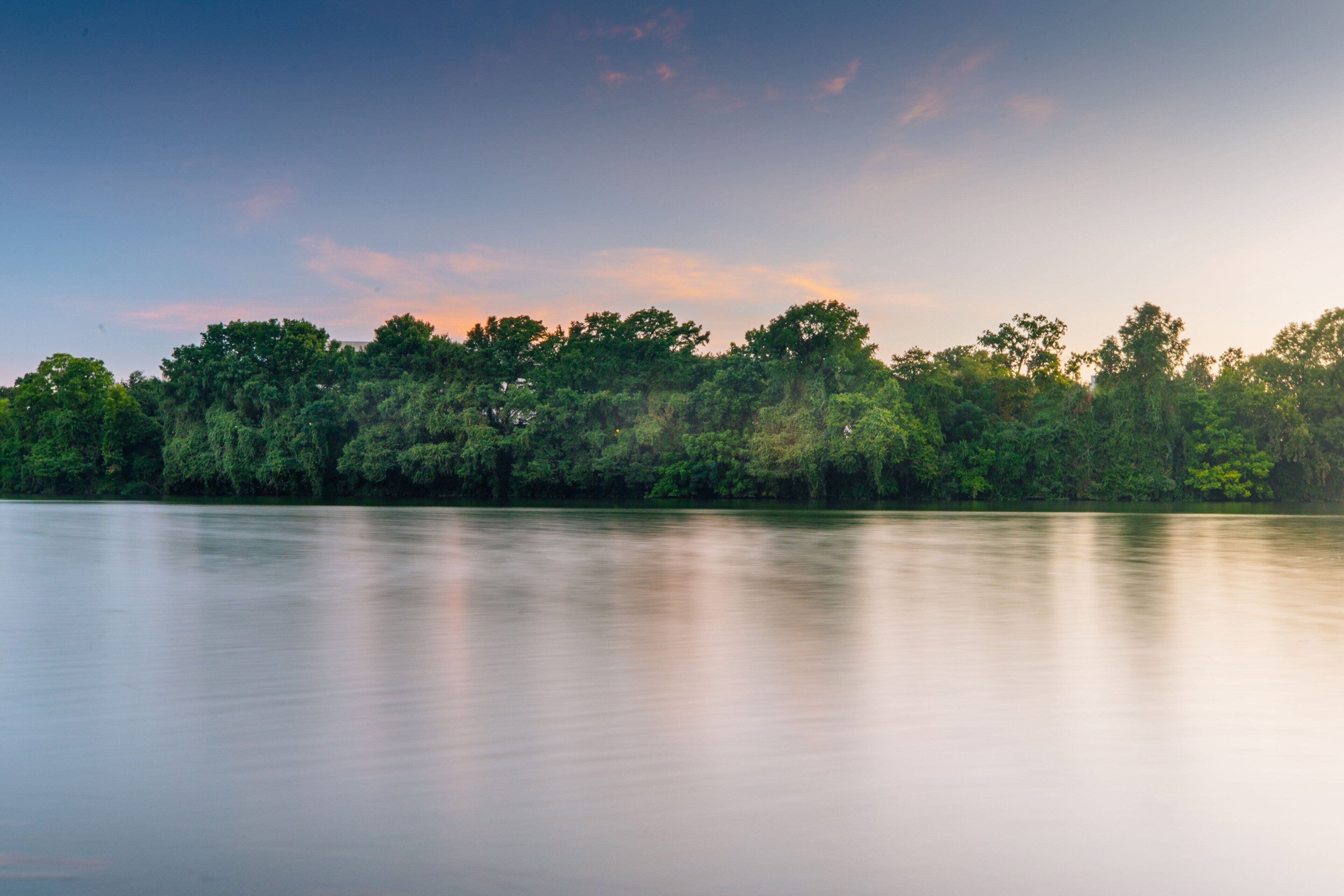 A calm river with dense forest on the opposite bank.