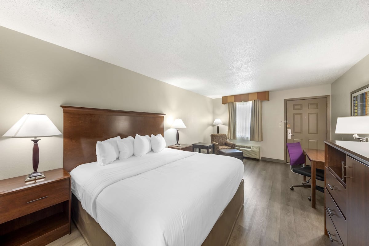 standard room, 1 queen bed, non smoking (pet friendly) | pillow-top beds, in-room safe, desk, laptop workspace