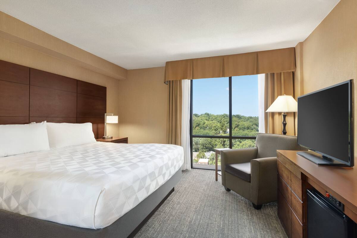 A hotel room with a large bed, a TV, a desk with a lamp, and a view of greenery through the window.