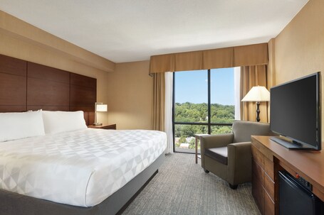Holiday Inn National Airport Crystal City, an IHG Hotel - Image 14