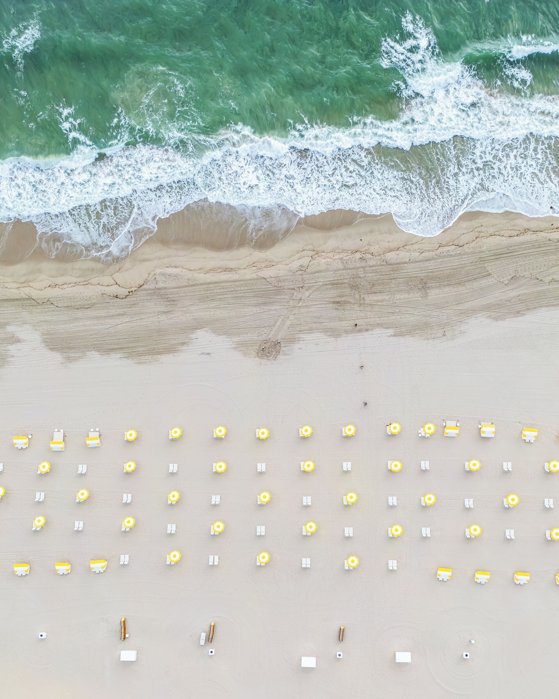 Una platja amb files de gandules i ombrel·les.