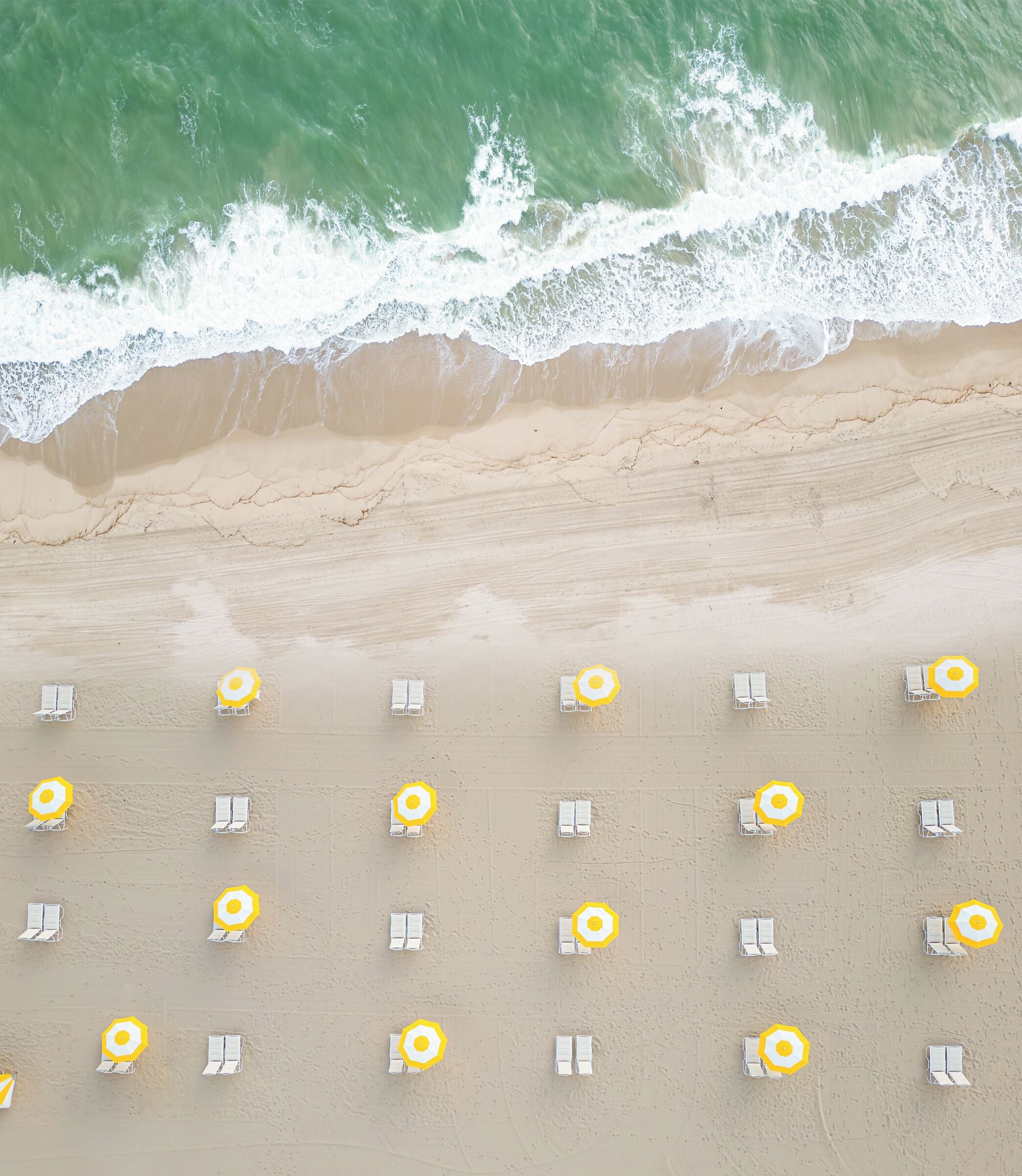 A beach with rows of white lounge chairs and yellow umbrellas, arranged in a grid pattern.