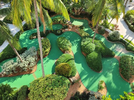 Mini-golf