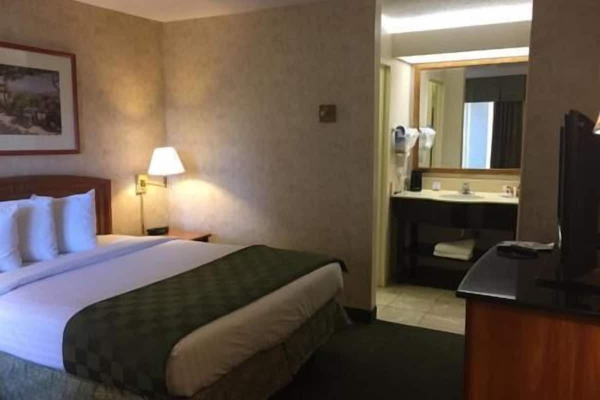 Hochwertige Bettwaren, Schreibtisch, laptopgeeigneter Arbeitsplatz