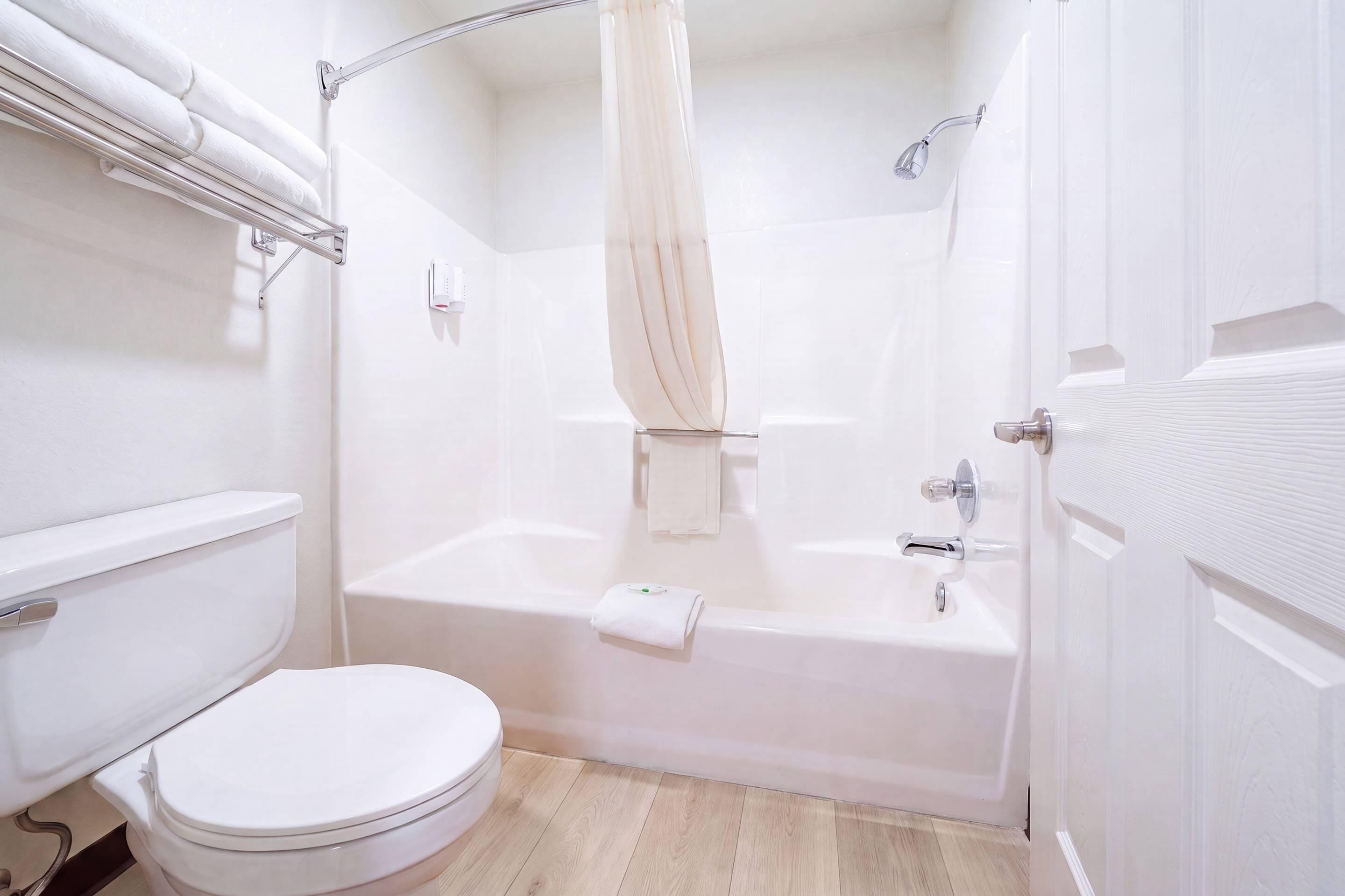 A bathroom with a toilet, a bathtub, and a shower.