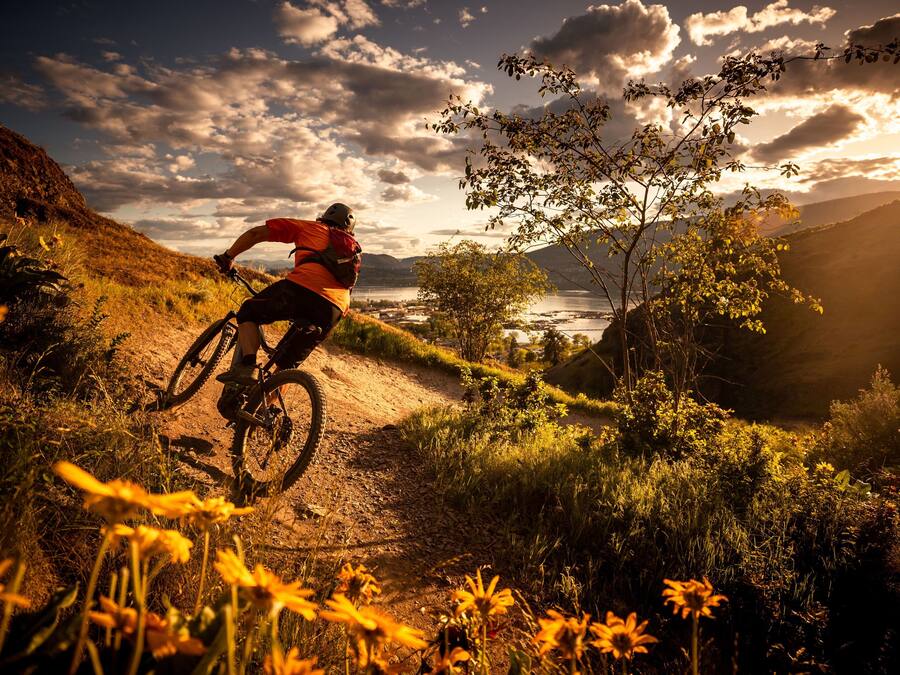 A person riding a mountain bike on a dirt path surrounded by natural scenery.