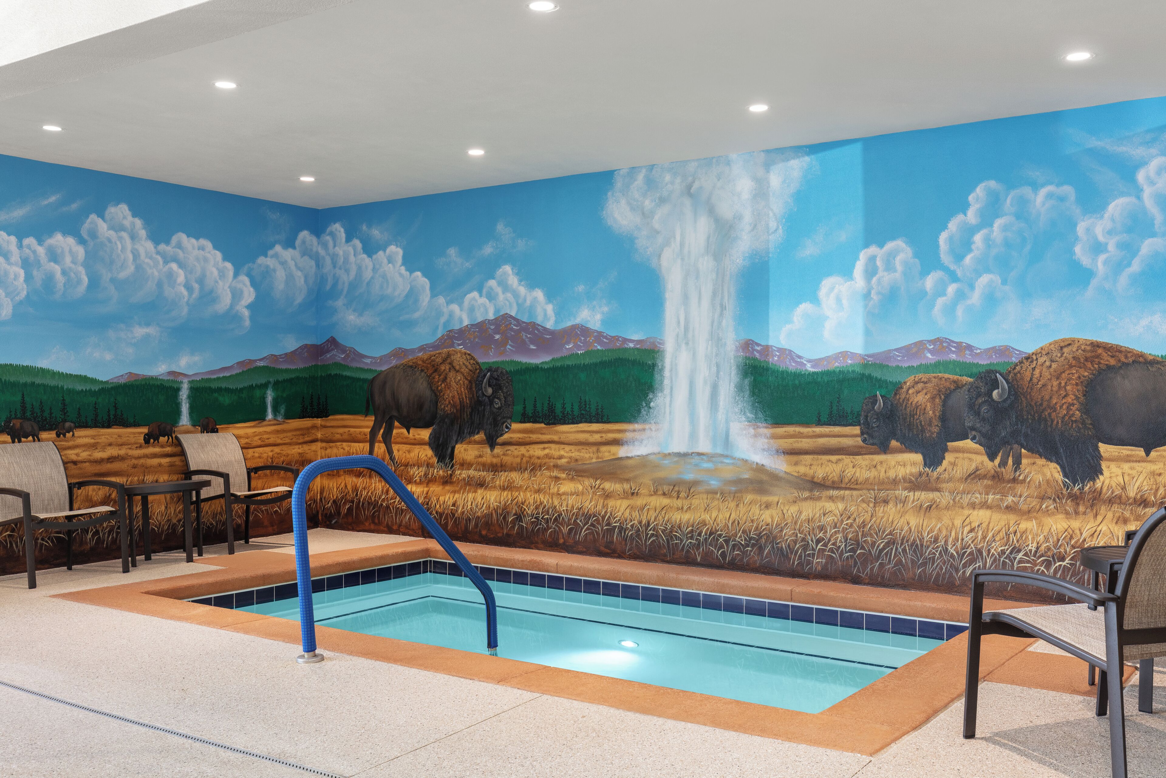Foto - Starlite Yellowstone, Tapestry Collection by Hilton