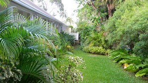 A lush garden with a variety of tropical plants and a well-maintained lawn.