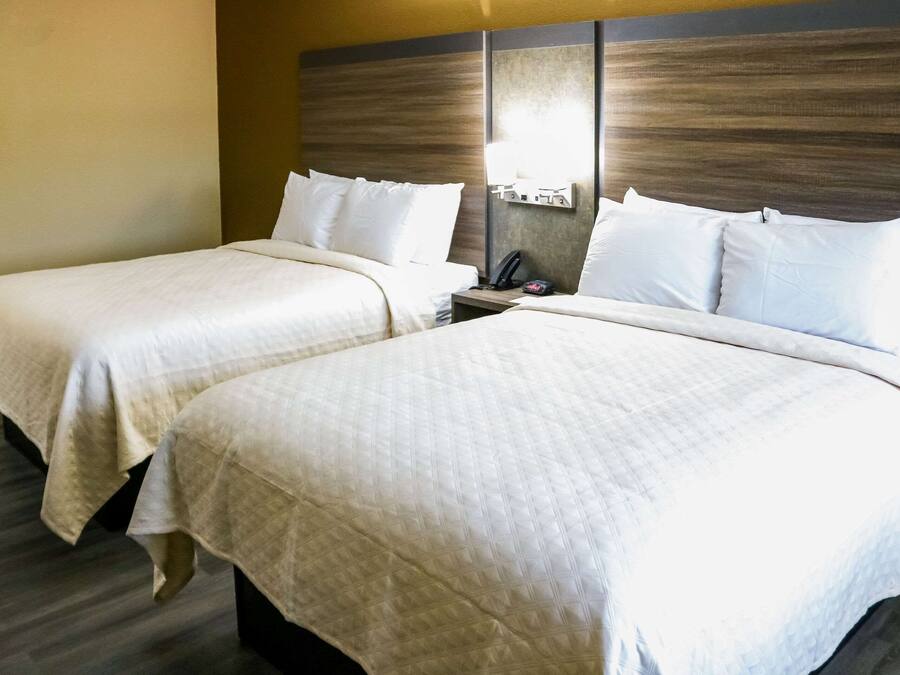 Standardværelse - 2 dobbeltsenge - ikke-ryger | Skrivebord, gratis Wi-Fi, sengetøj