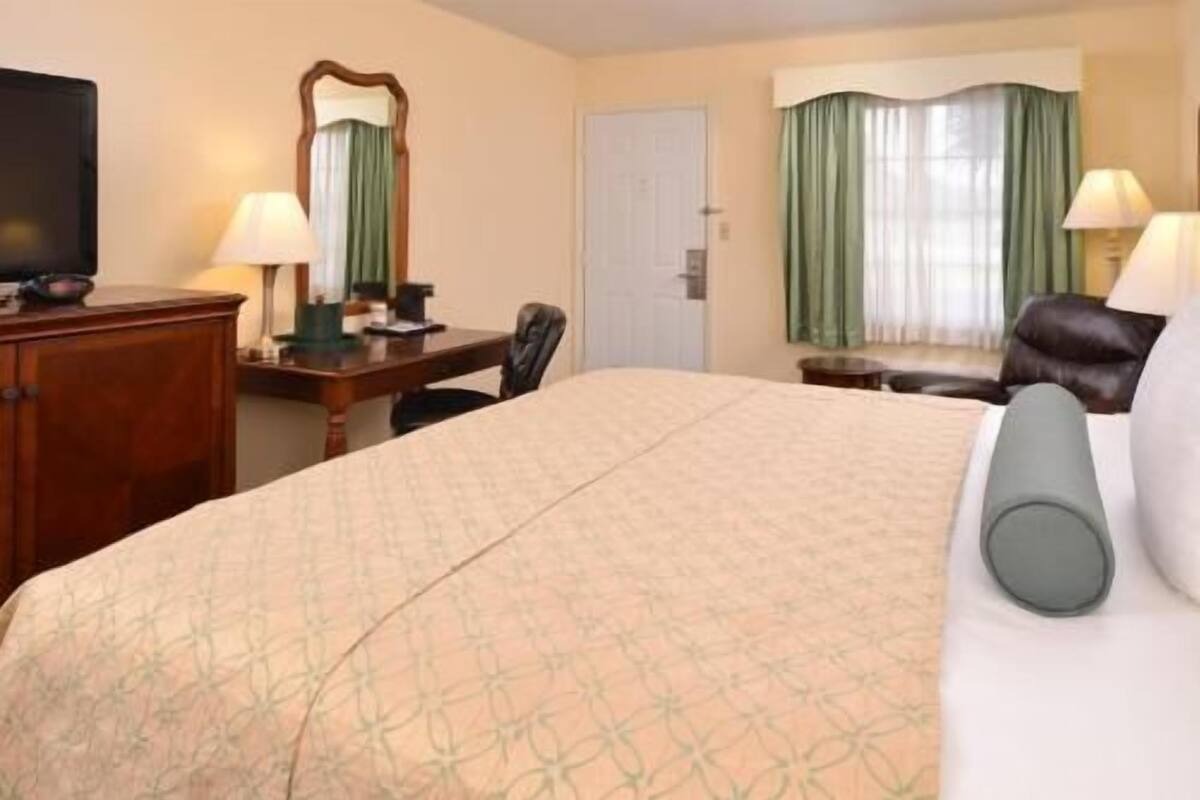 A hotel room with a bed, a desk, a chair, a television, and a window with curtains.