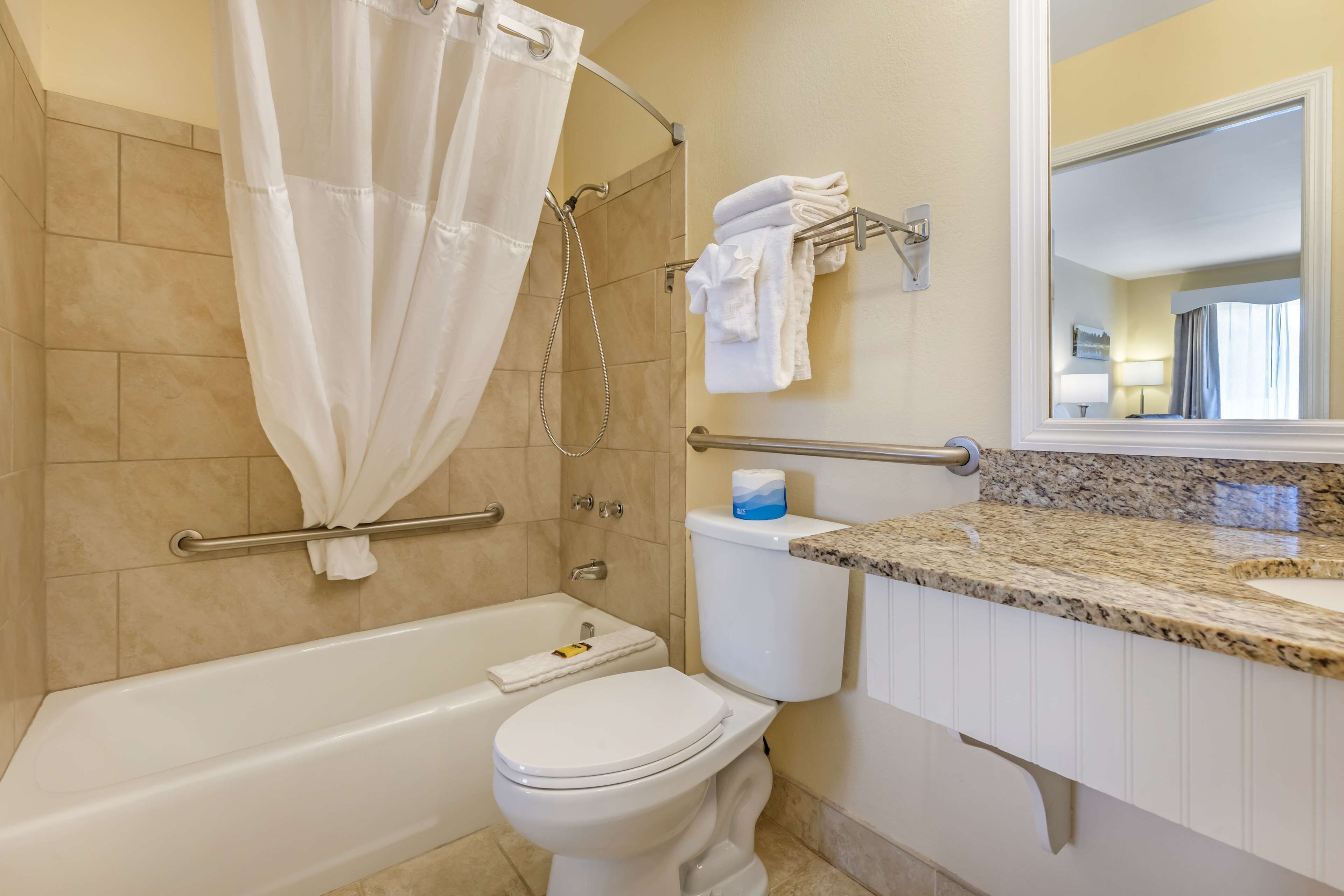 standard room, 1 king bed, accessible, bathtub | bathroom | free toiletries, hair dryer, towels, soap