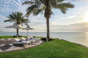 Vista desde la propiedad