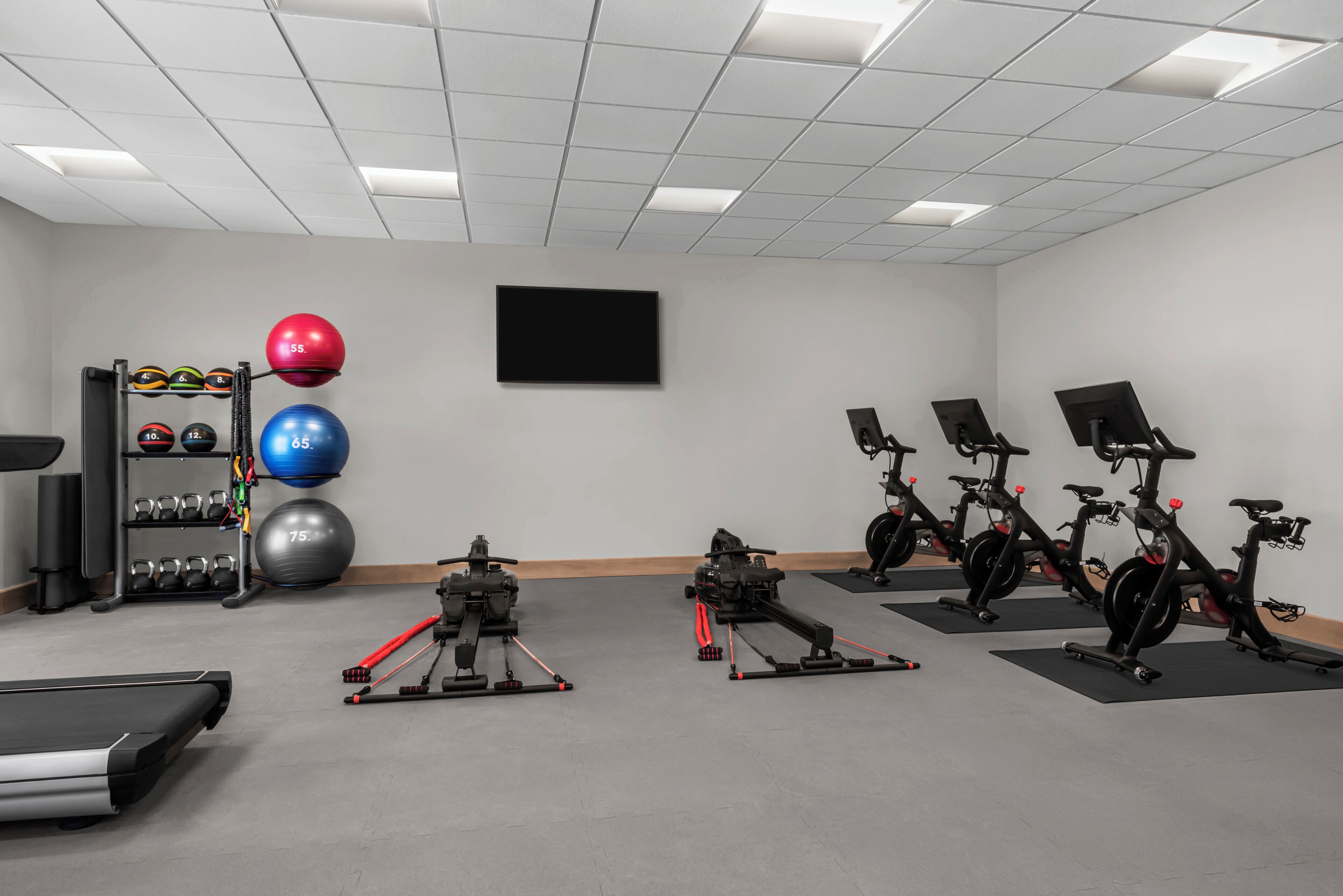 A gym with treadmills, stationary bikes, and exercise balls.