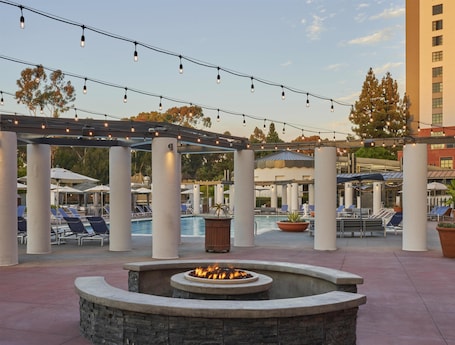 Outdoor pool, sun loungers. Hyatt Regency La Jolla