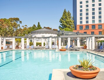 Outdoor pool, sun loungers