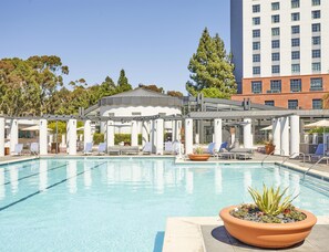 Outdoor pool, pool loungers