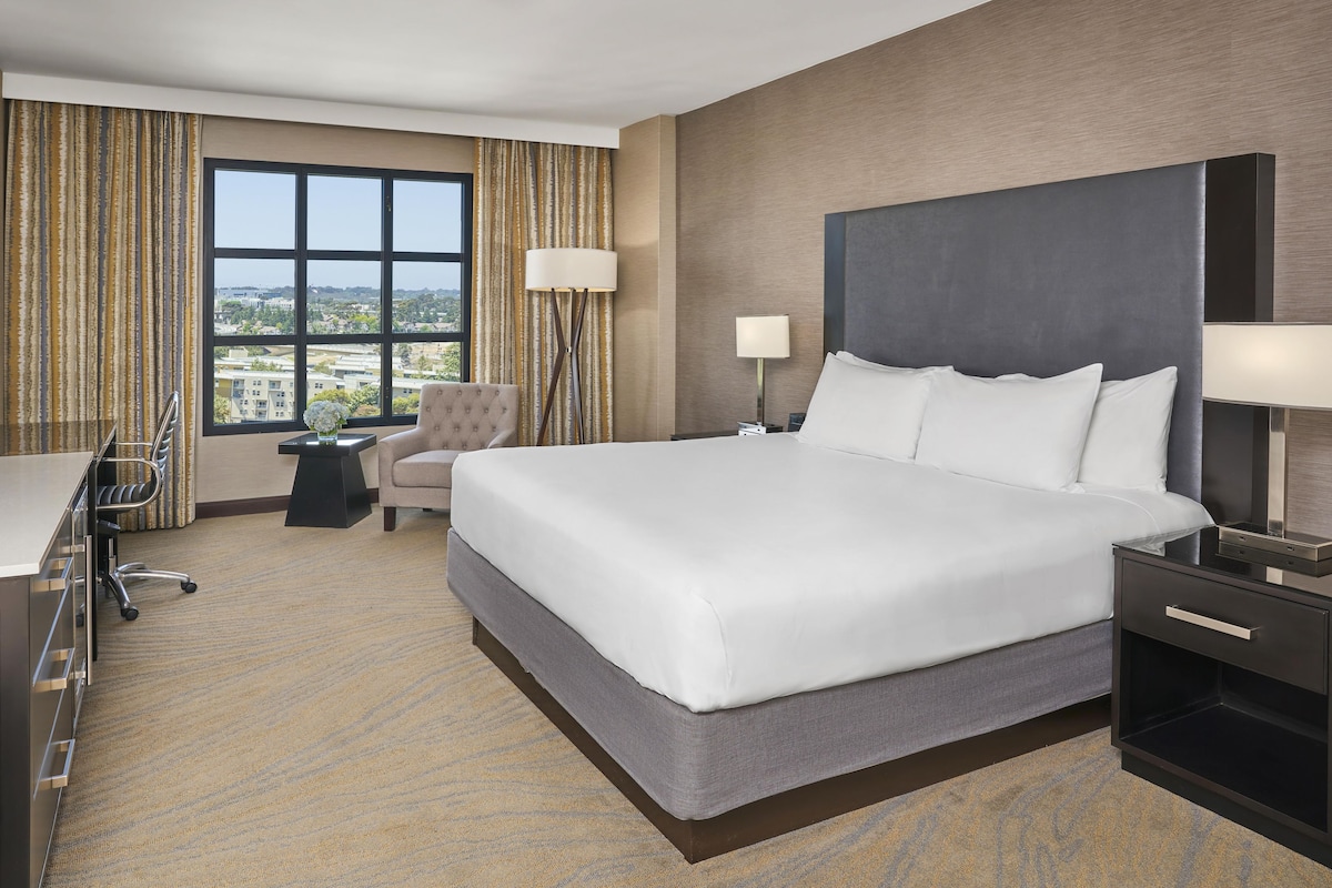 A hotel room with a large bed, a desk, a chair, a TV, and a view of the city.