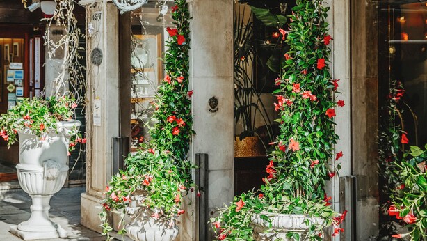 Fachada de um edifício com uma placa que diz "GIOIA", decorada com lanternas penduradas e vasos de plantas com flores vermelhas.