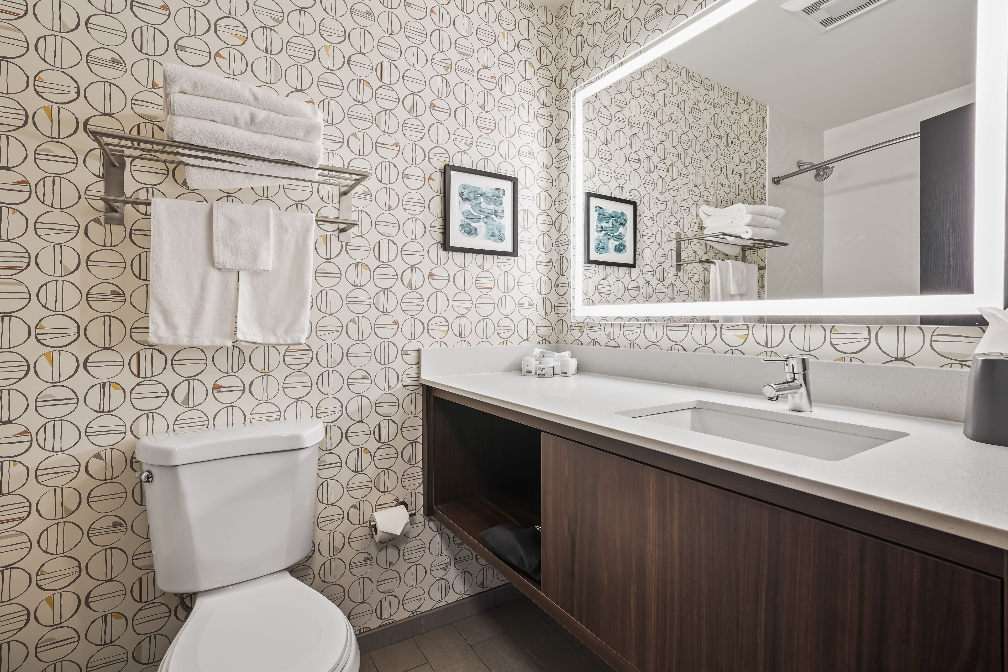 combined shower/bathtub, free toiletries, hair dryer, towels