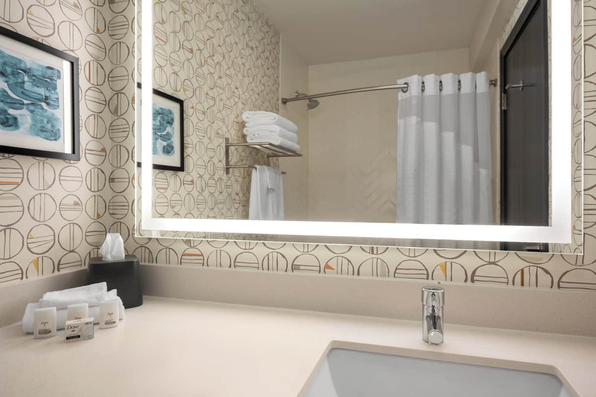 A bathroom with a large mirror, a sink, a towel rack, and a shower curtain.