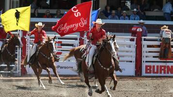 Evento de rodeo con participantes a caballo, banderas y un público en el fondo.