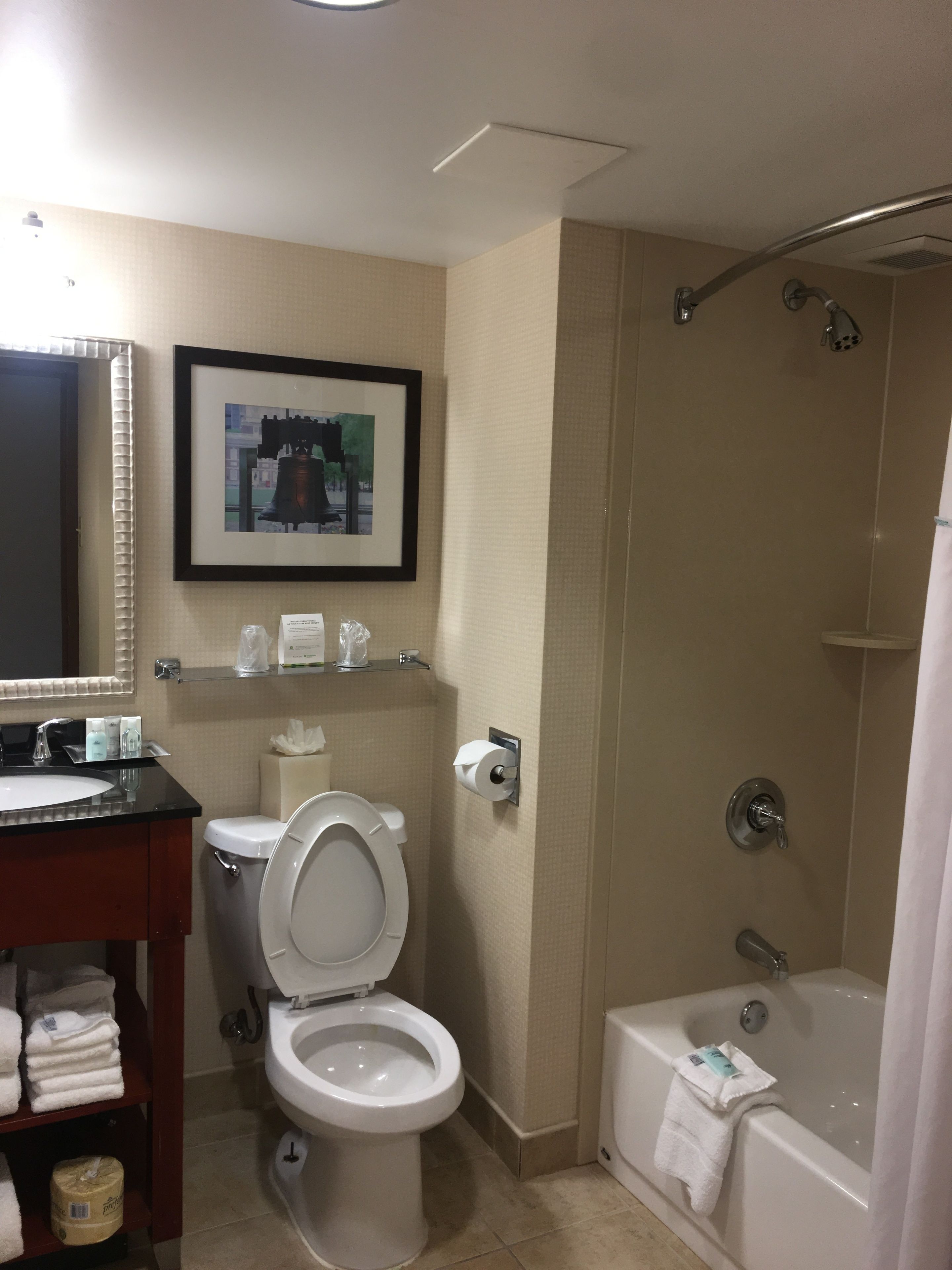 combined shower/bathtub, free toiletries, hair dryer, towels