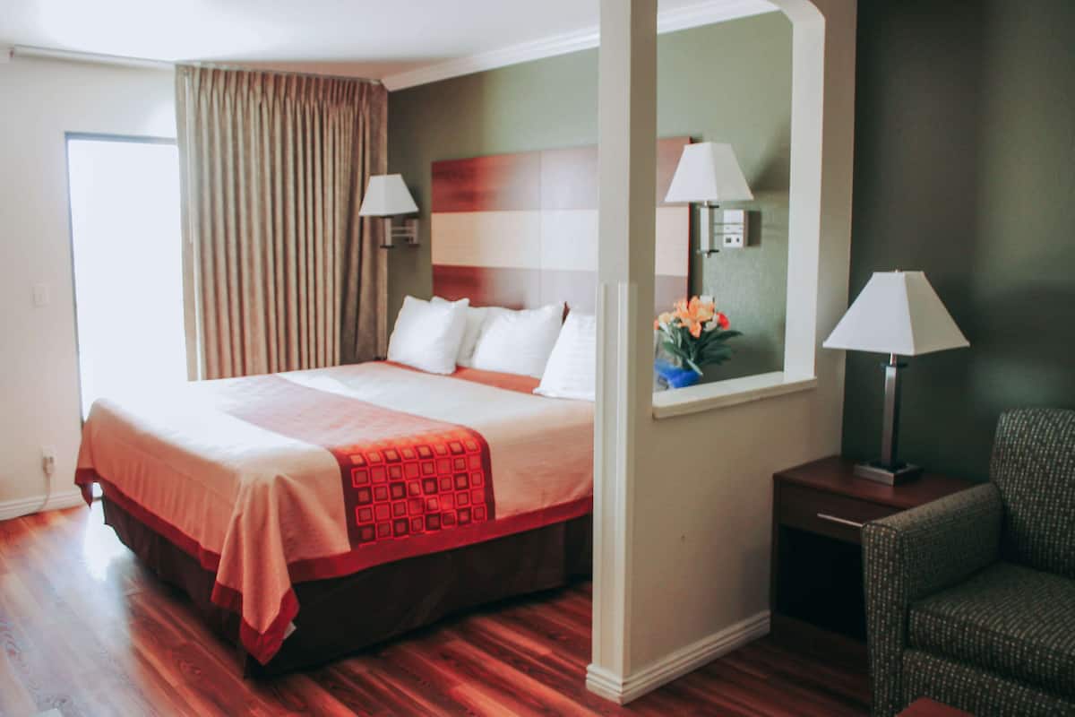 Suite, 1 King Bed, Non Smoking, City View (No Pets) | In-room safe, blackout drapes, iron/ironing board