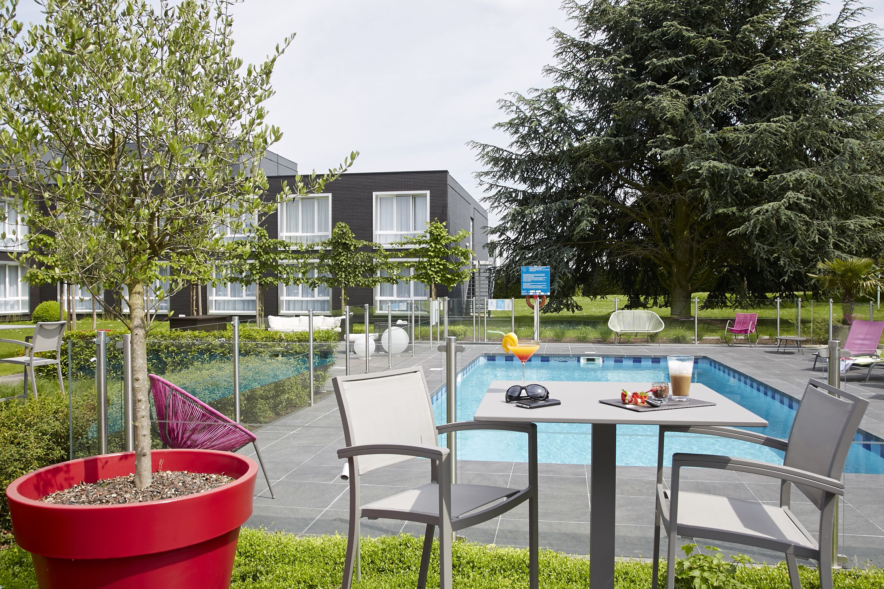 A poolside area with a table, chairs, and a large potted plant.