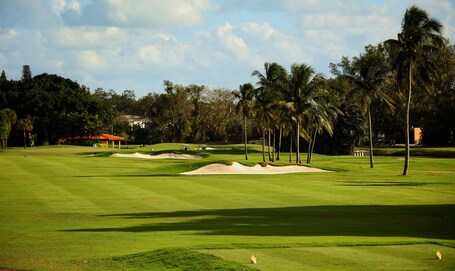 Biltmore Hotel Miami Coral Gables - Image 75
