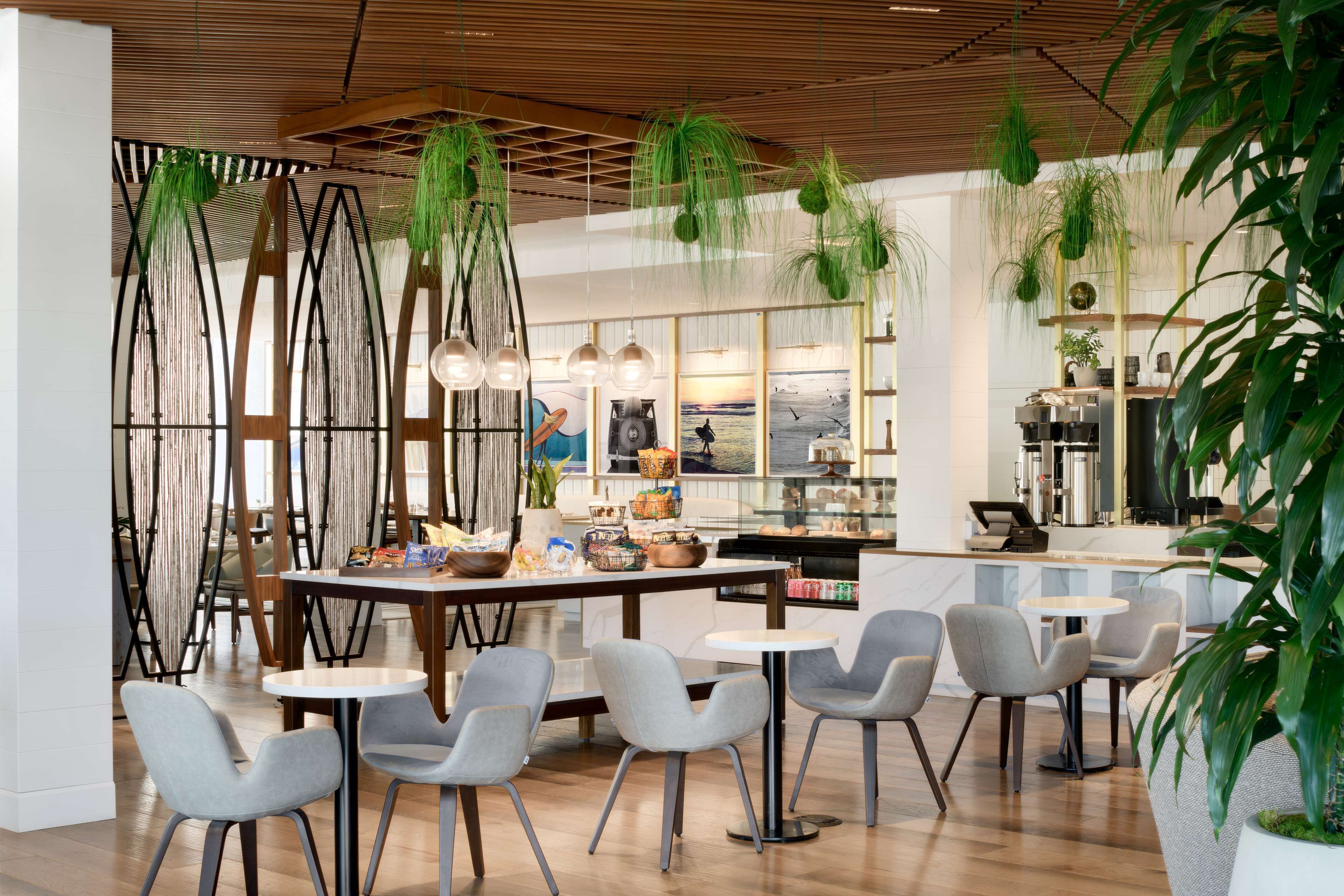 A modern restaurant with wooden flooring, grey chairs, and hanging plants.