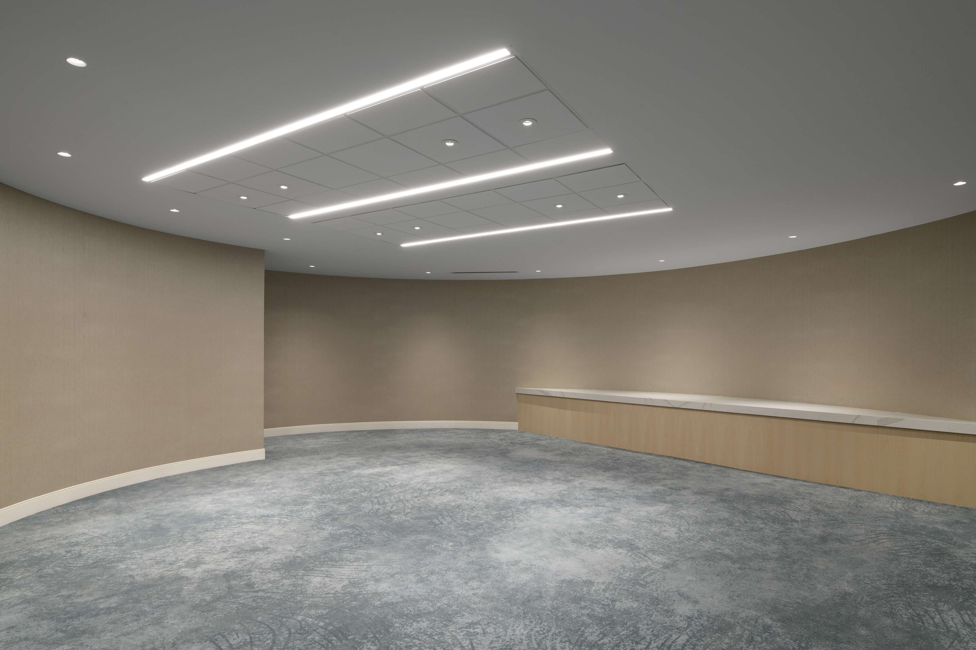 Una habitación con techo abovedado, luces empotradas y alfombra gris.