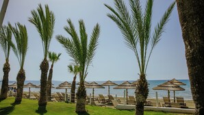 حديقة