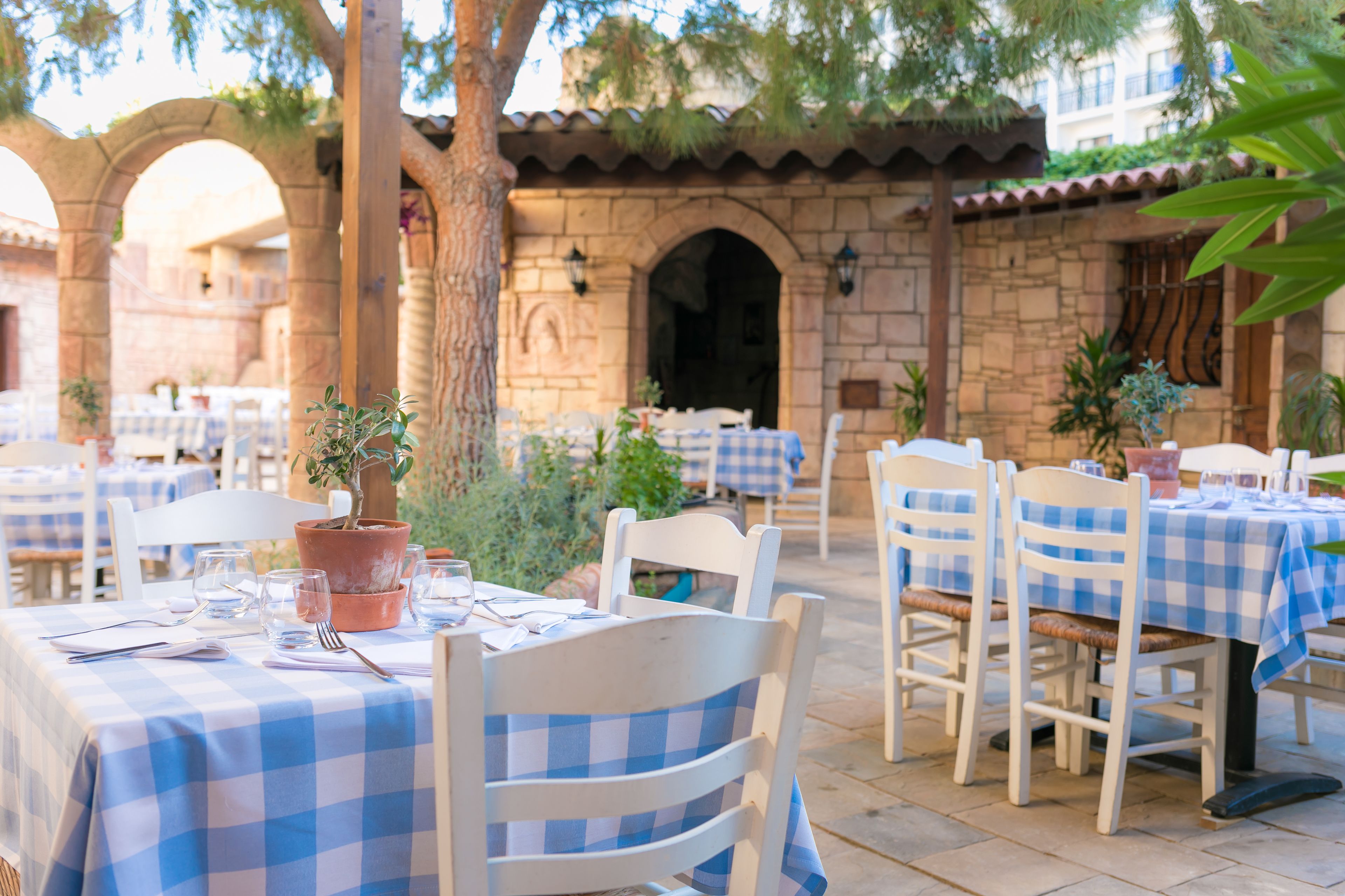 An outdoor dining area with checkered tablecloths, white chairs, and potted plants.