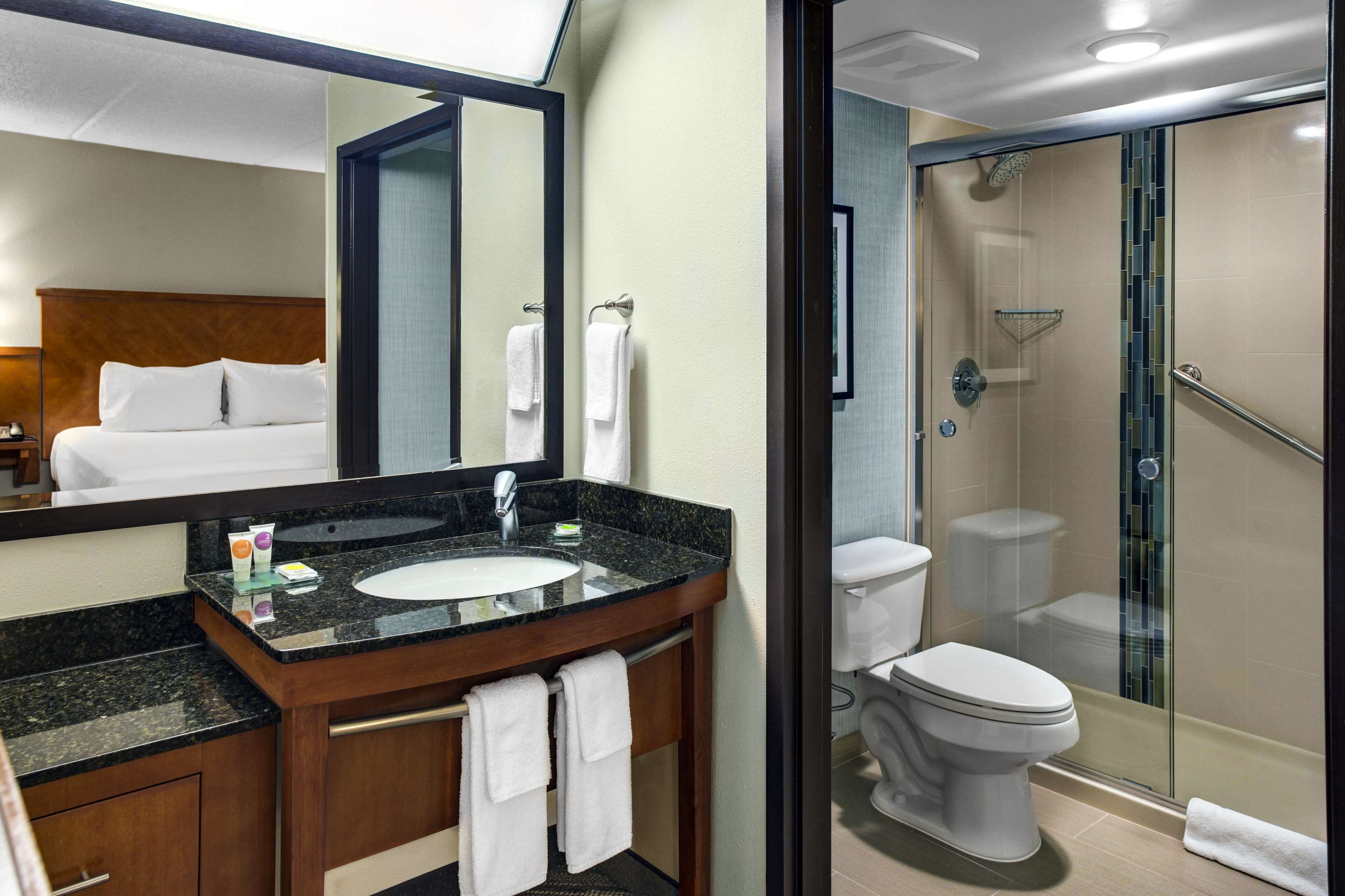 designer toiletries, hair dryer, towels, soap