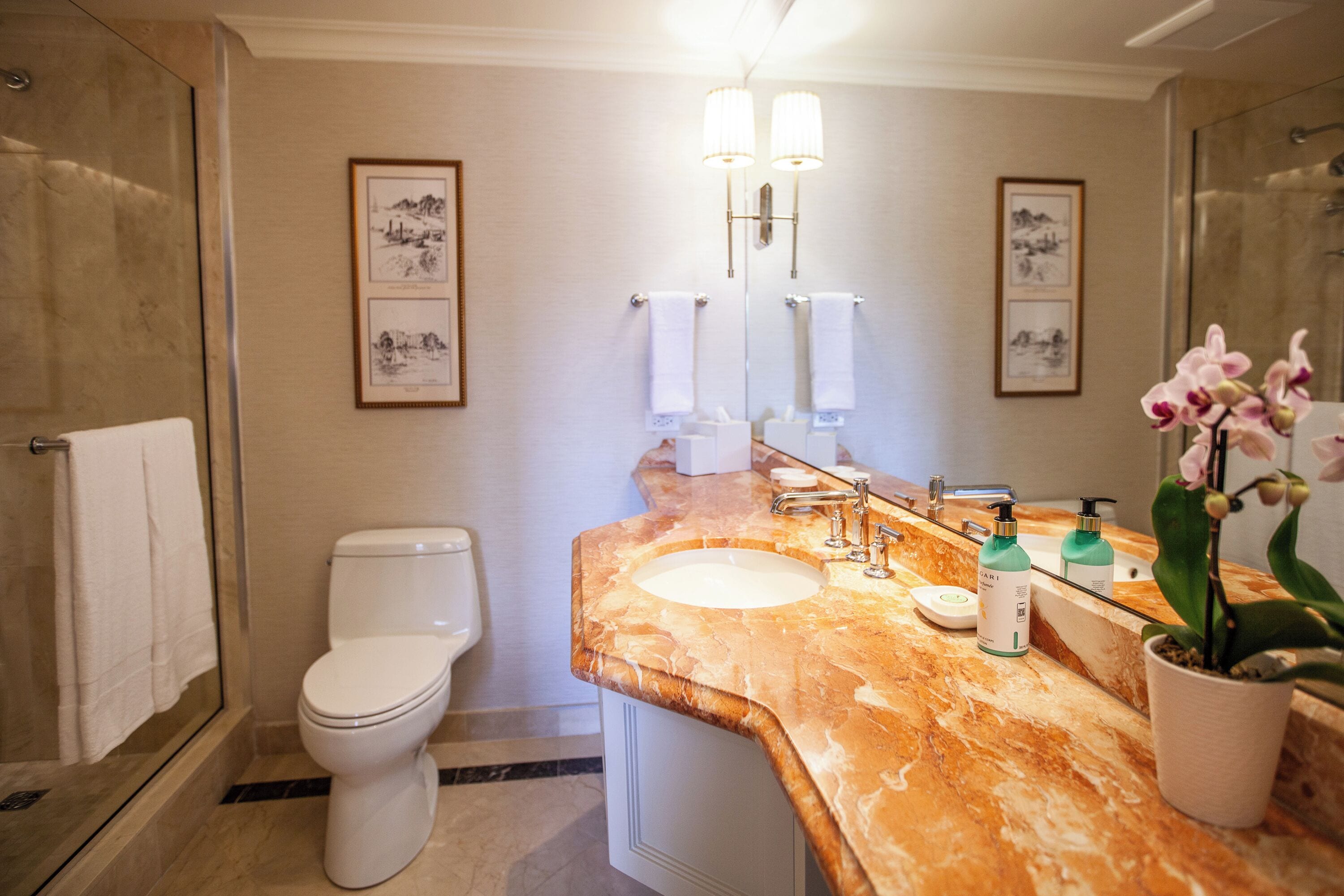 Un bagno con lavabo in marmo, due quadri appesi al muro, un water e uno spazio doccia.