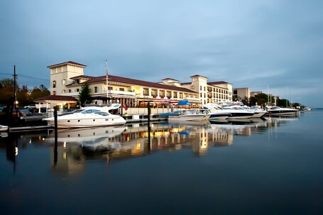 Delamar Greenwich Harbor - Image 26