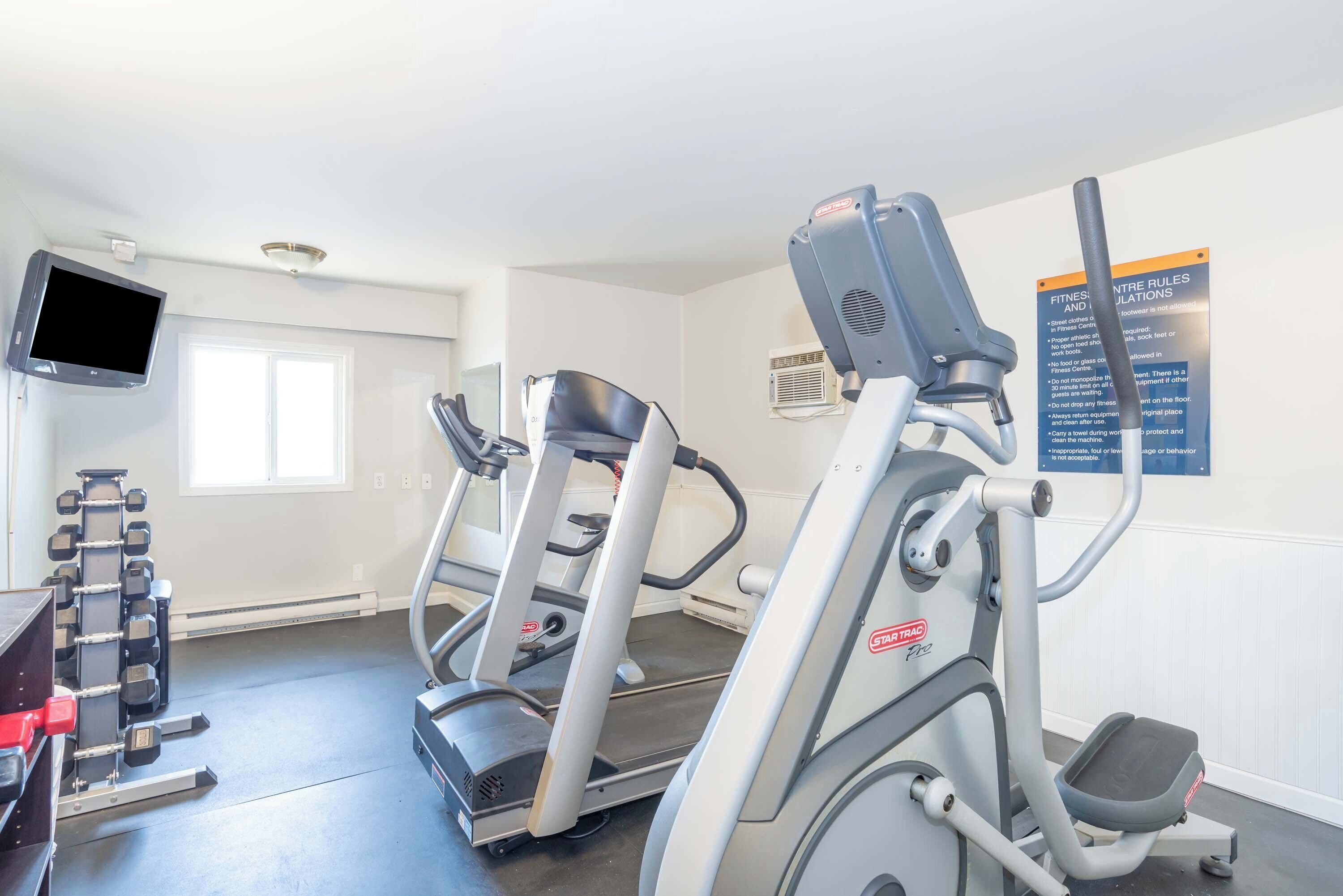 A gym with treadmills, dumbbells, and a TV screen.